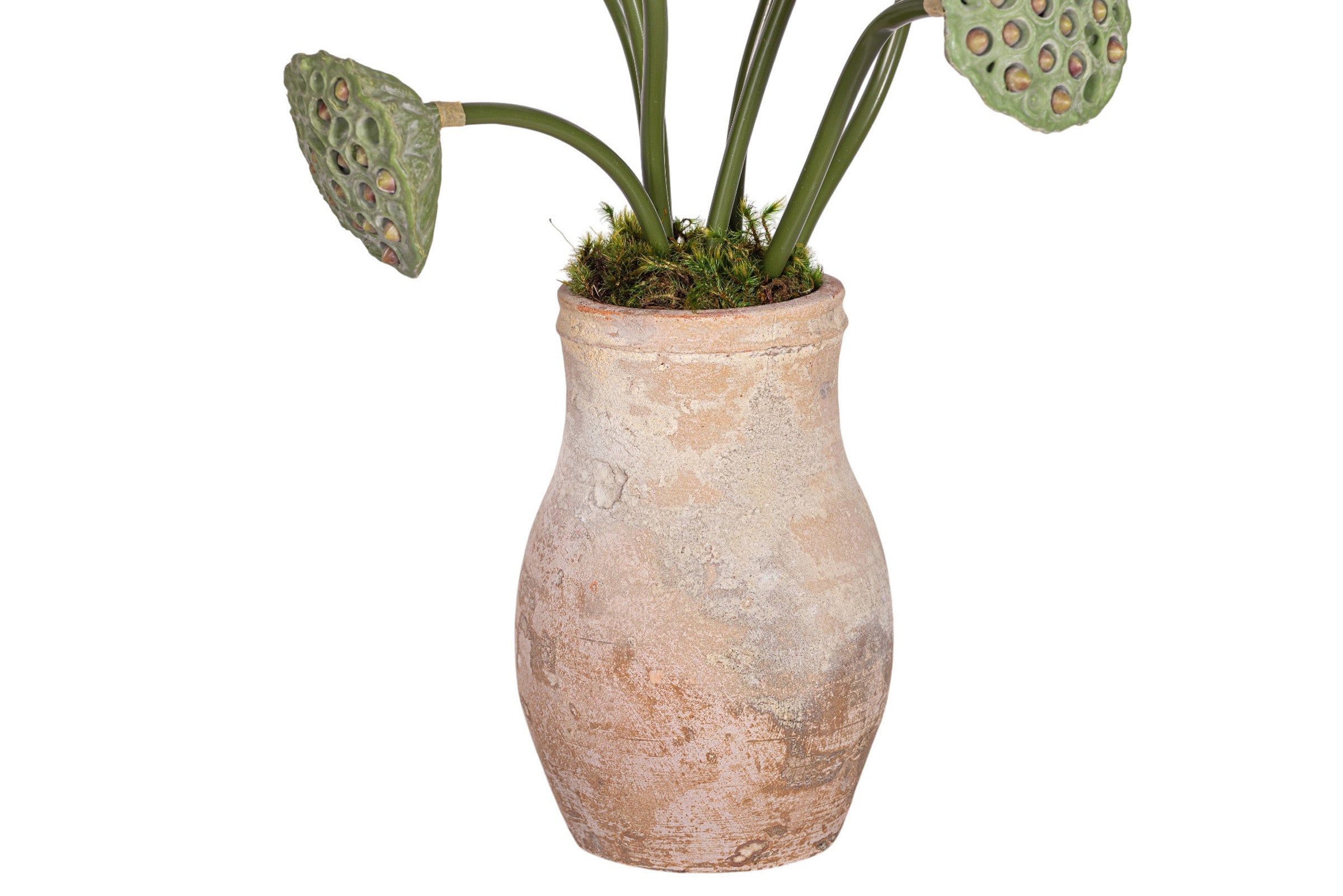 Rue Vase with Lotus Seed Arrangement AR1963