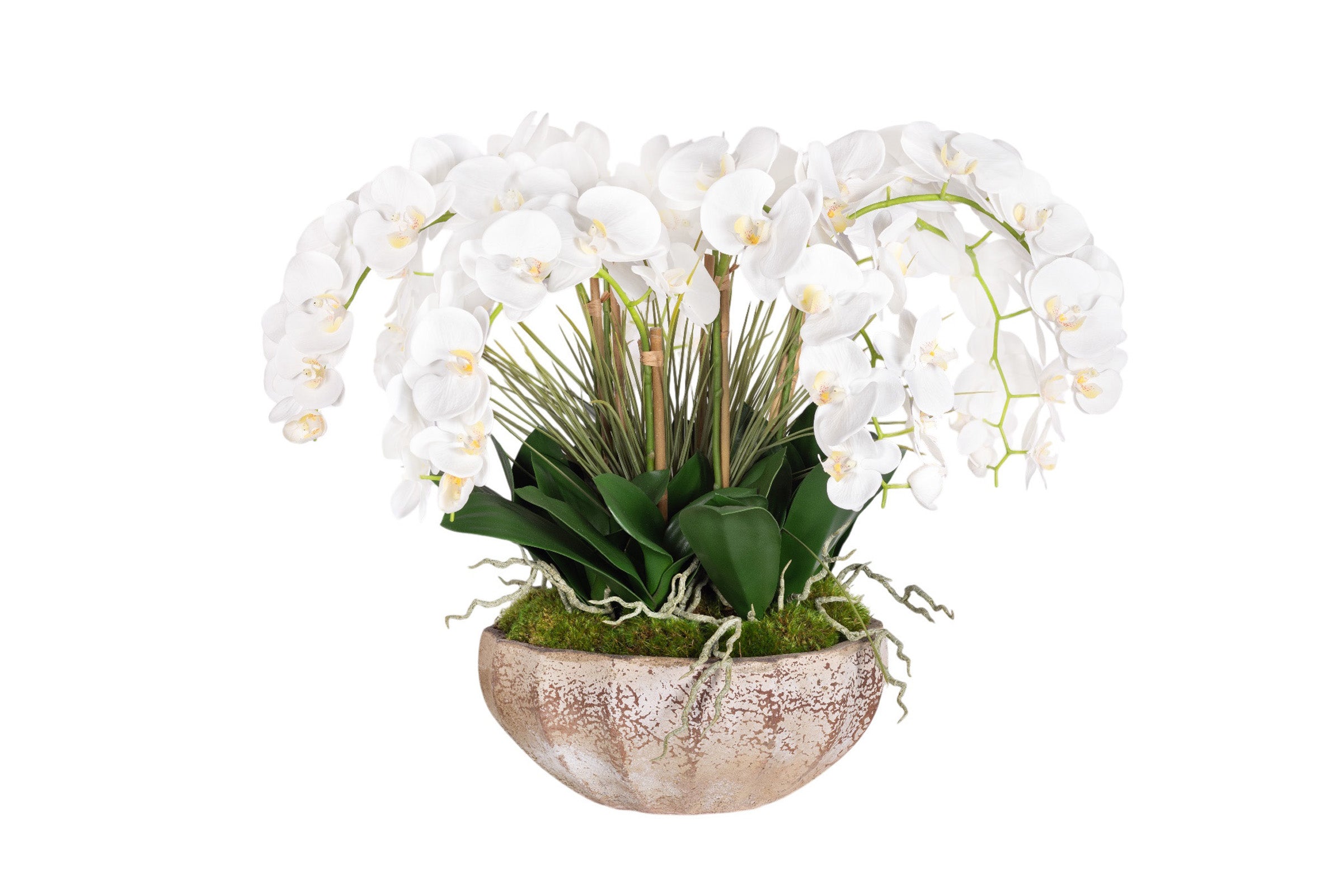 30" Ansel Bowl with Orchid Arrangment AR1965