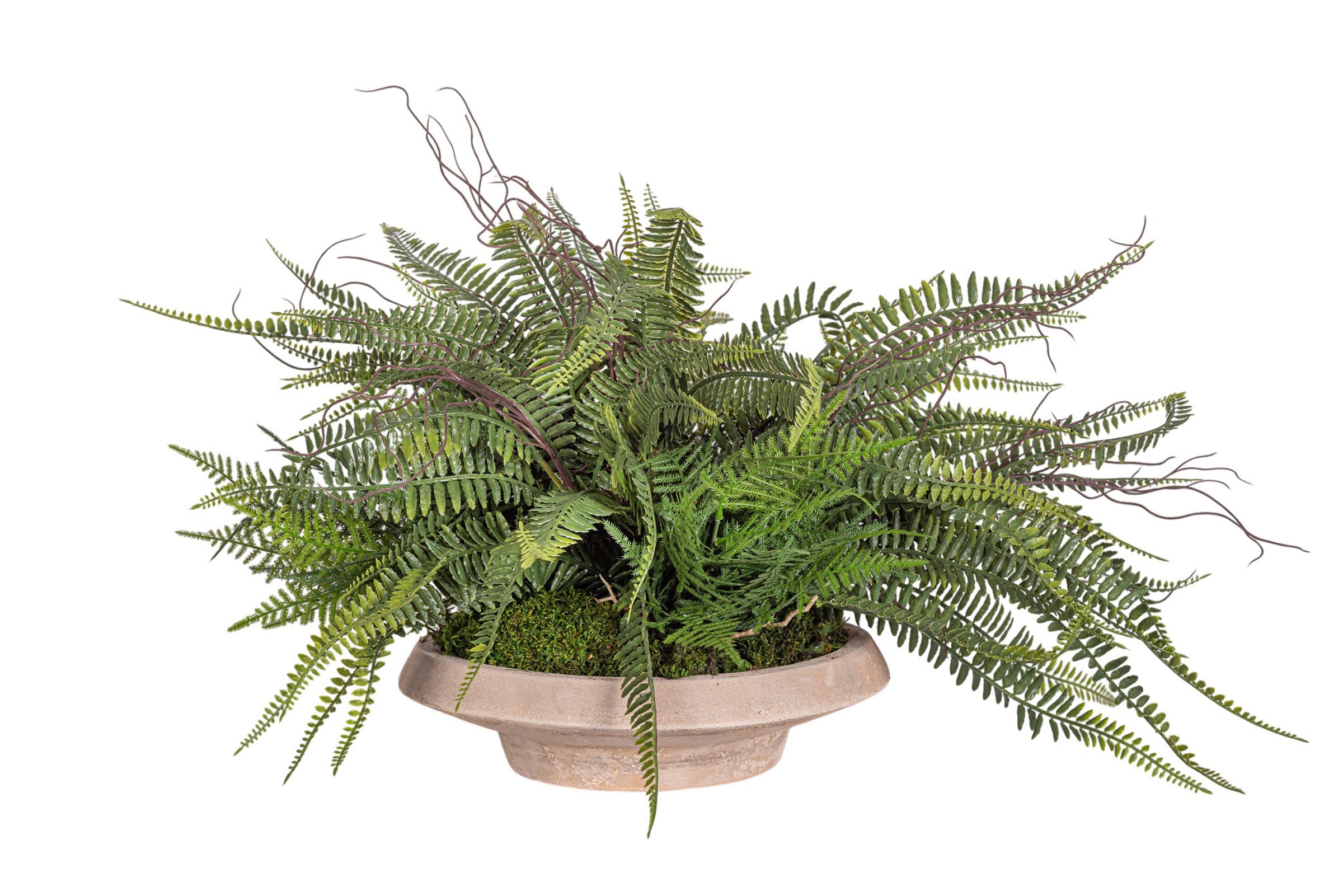 Sayulita Saucer with UV Fern Arrangement AR1969