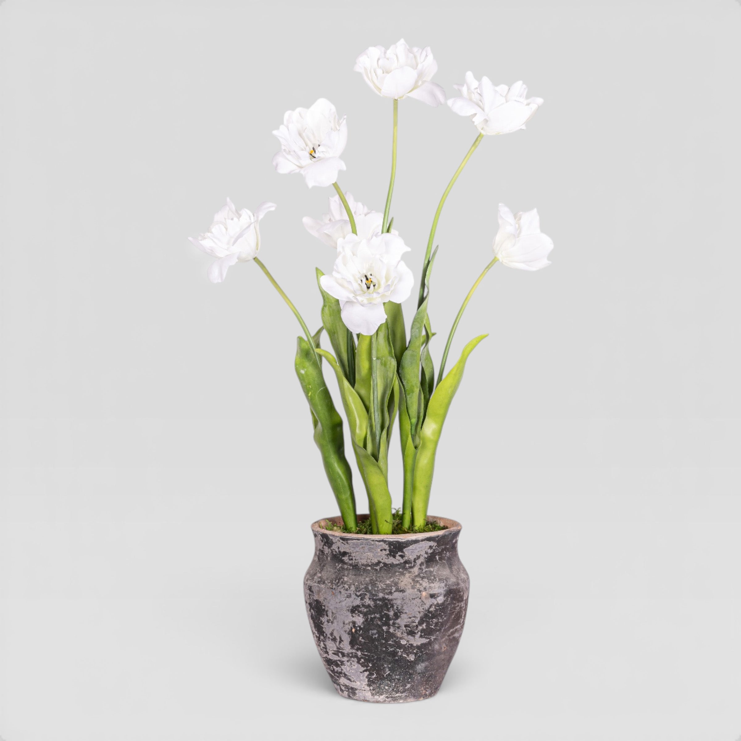 19" Titan Pot with Tulip Arrangement AR1974