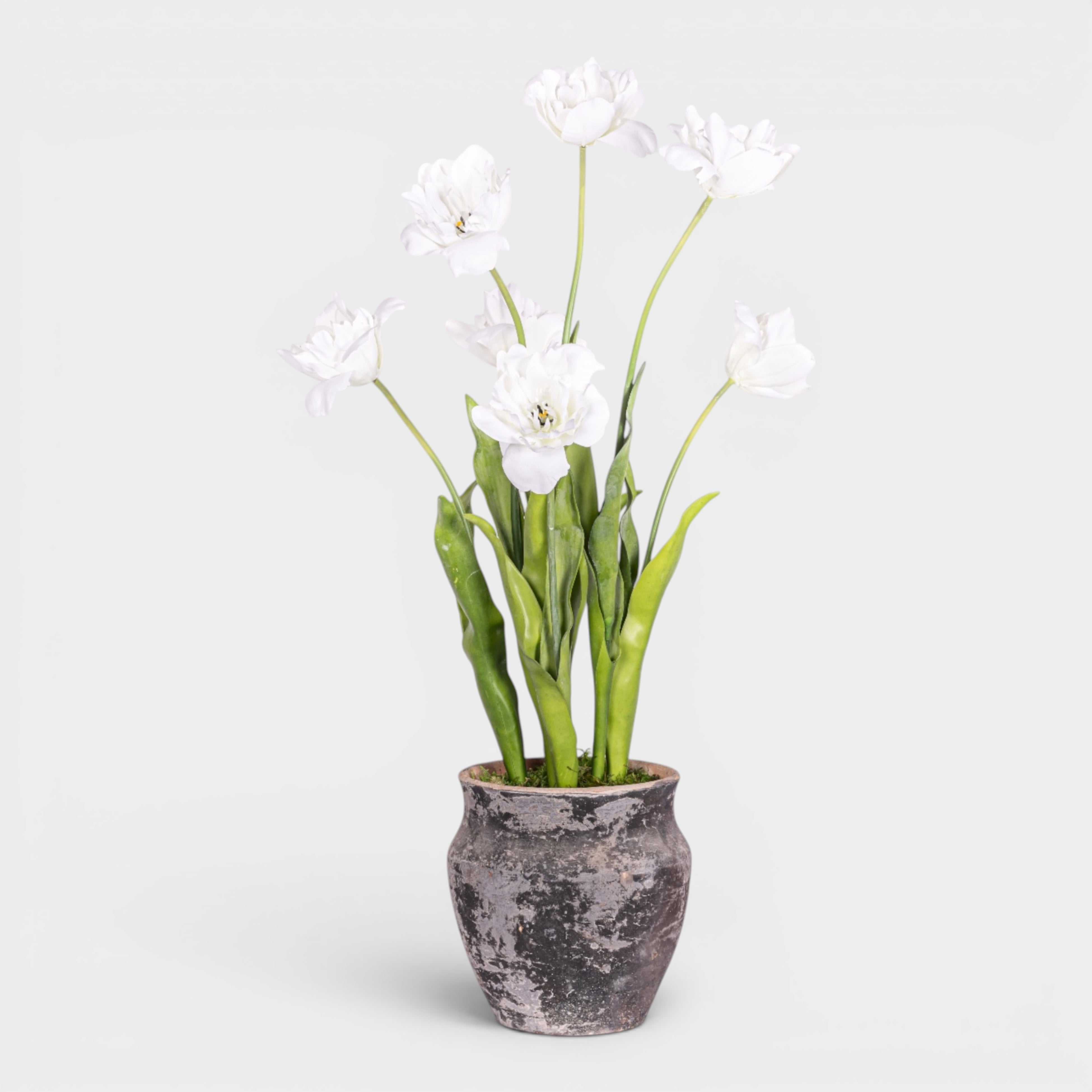 19" Titan Pot with Tulip Arrangement AR1974