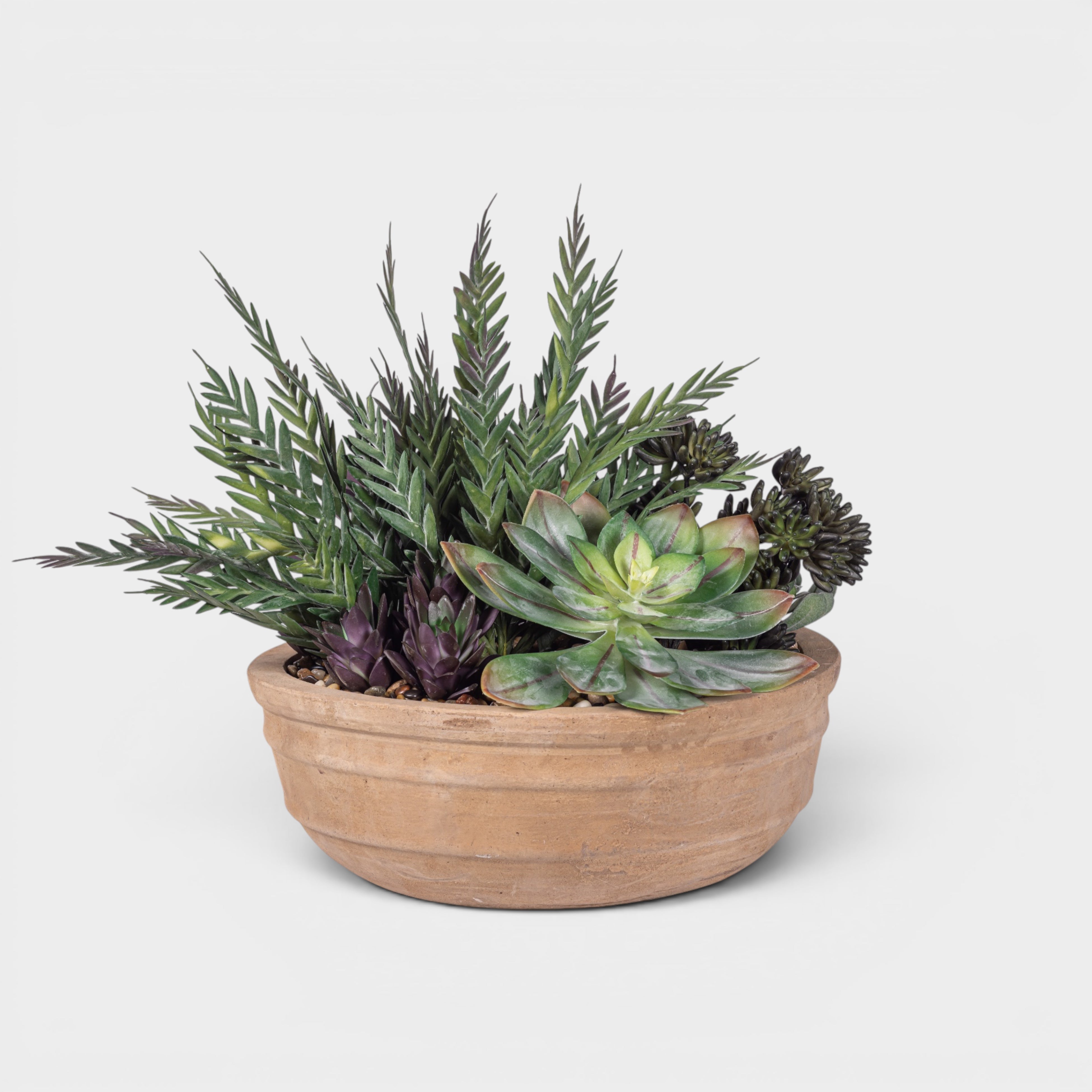 Suri Bowl with Mixed Succulent Arrangement AR1976