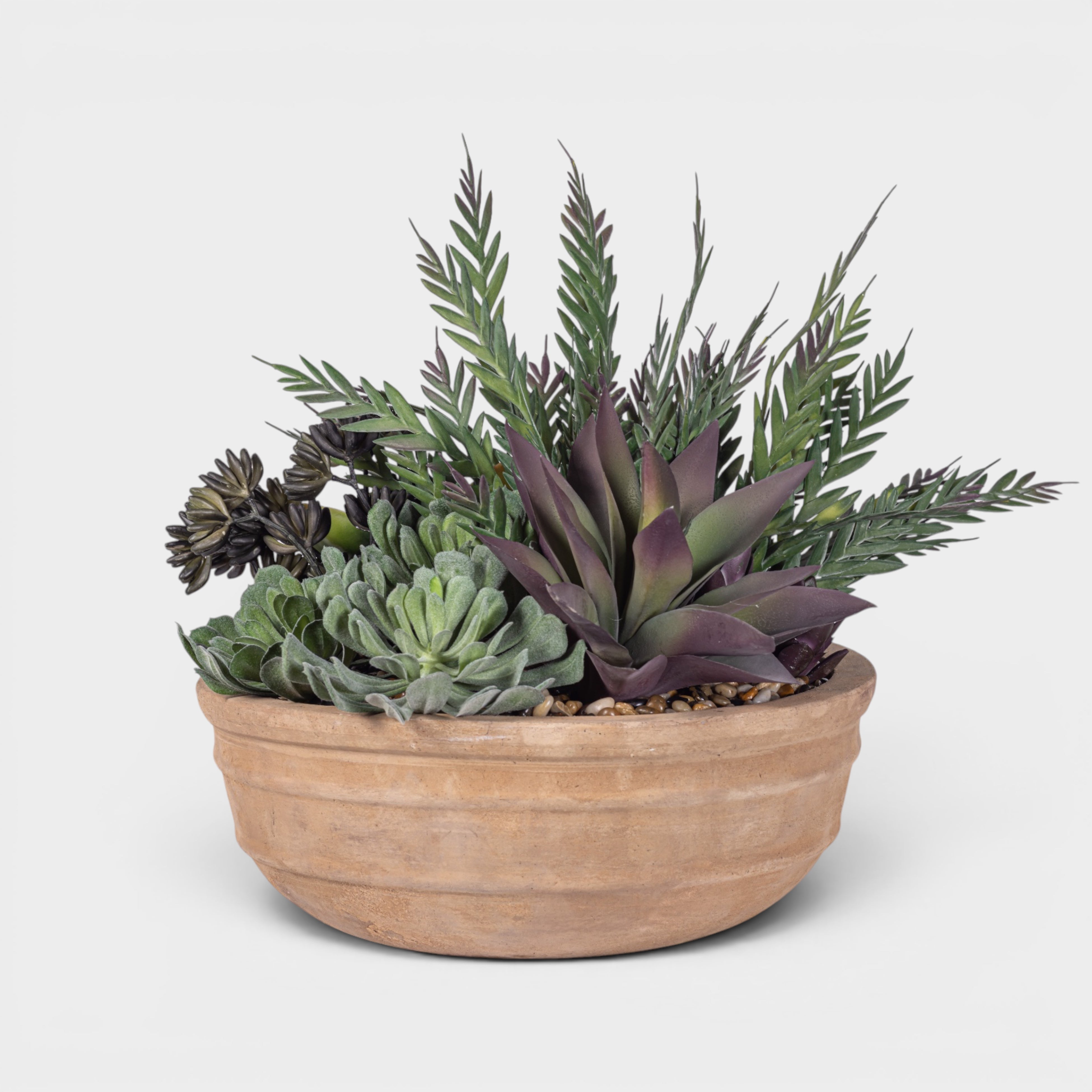 Suri Bowl with Mixed Succulent Arrangement AR1976