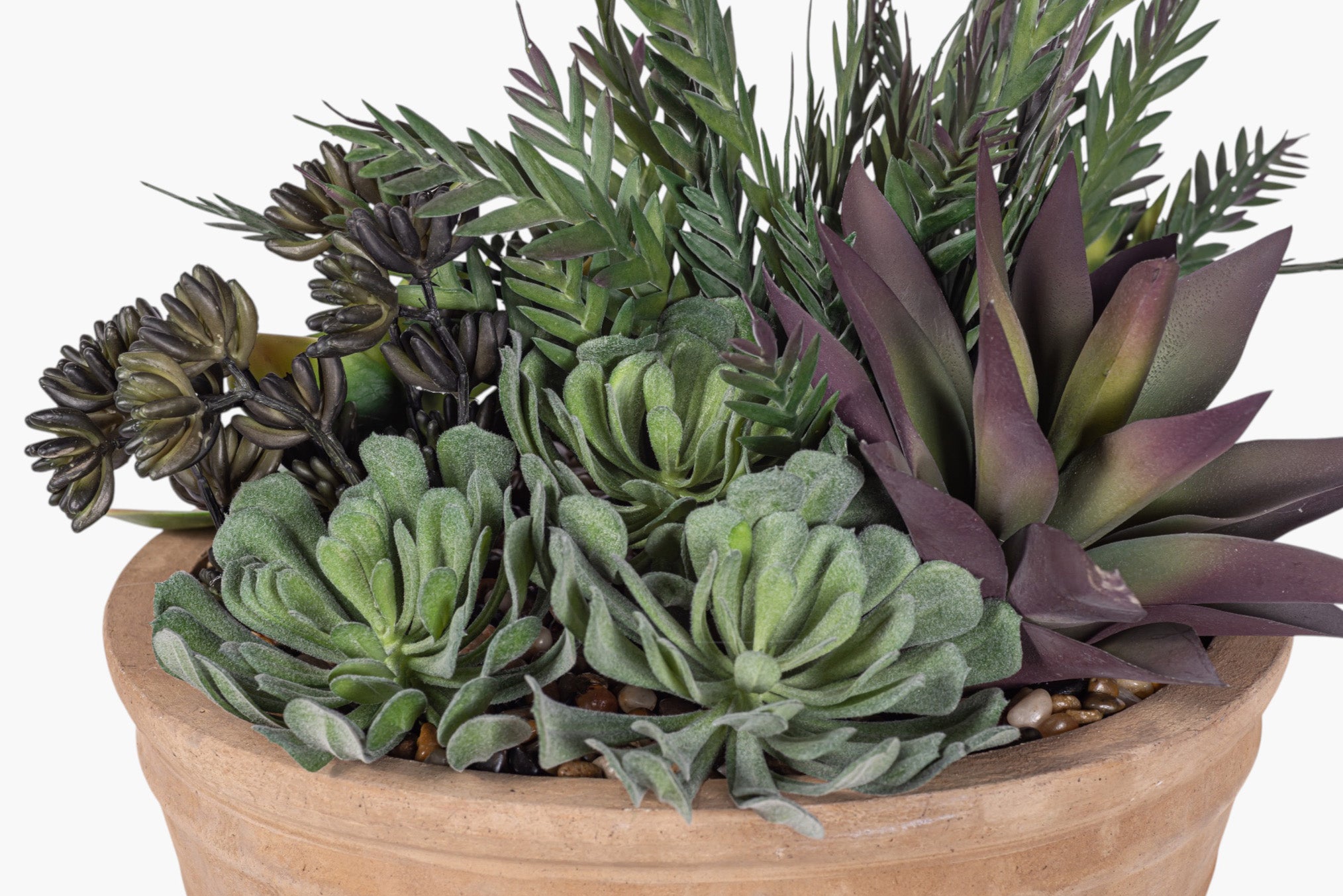 Suri Bowl with Mixed Succulent Arrangement AR1976