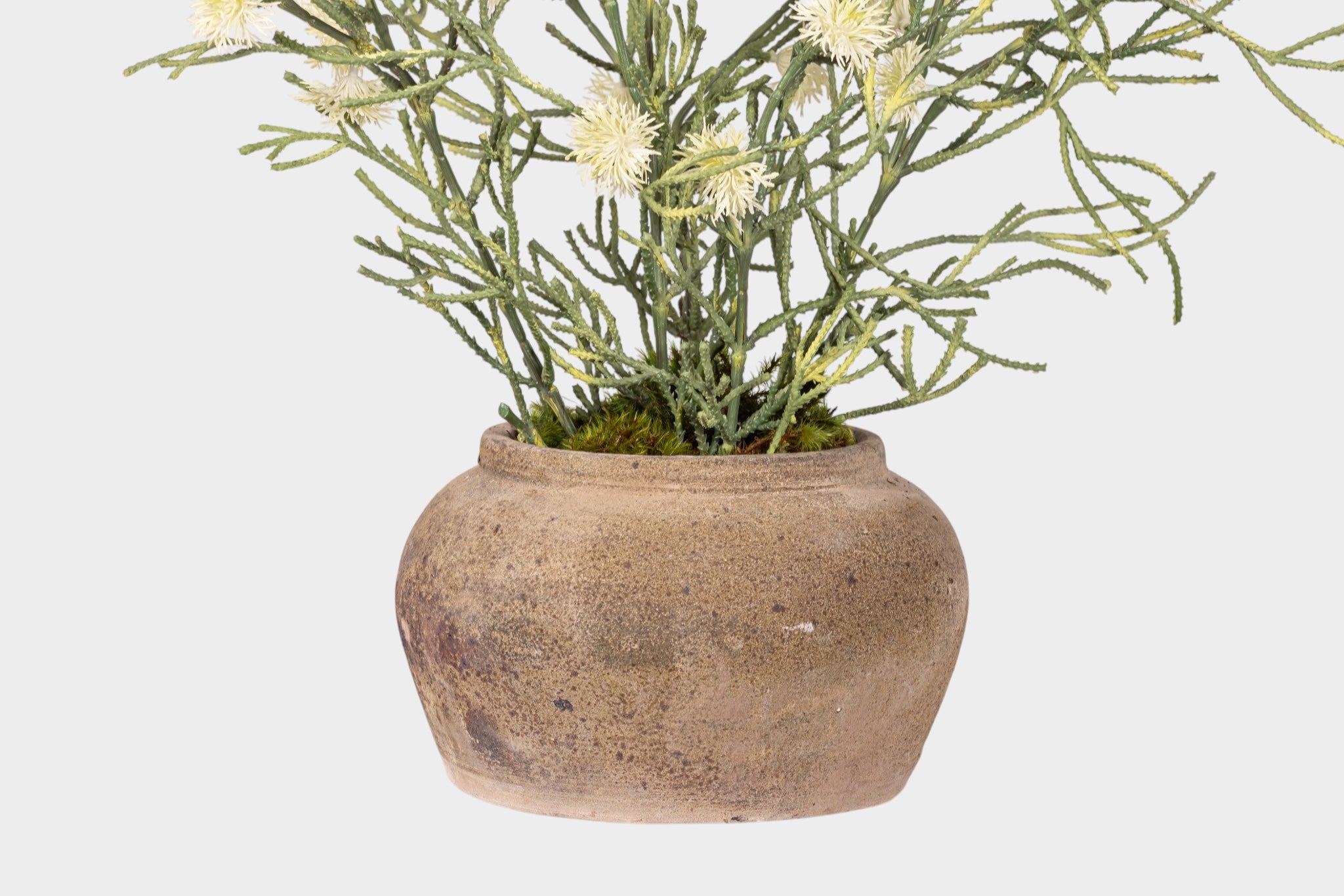 Esther Pot with Spider Flower Arrangement AR1979