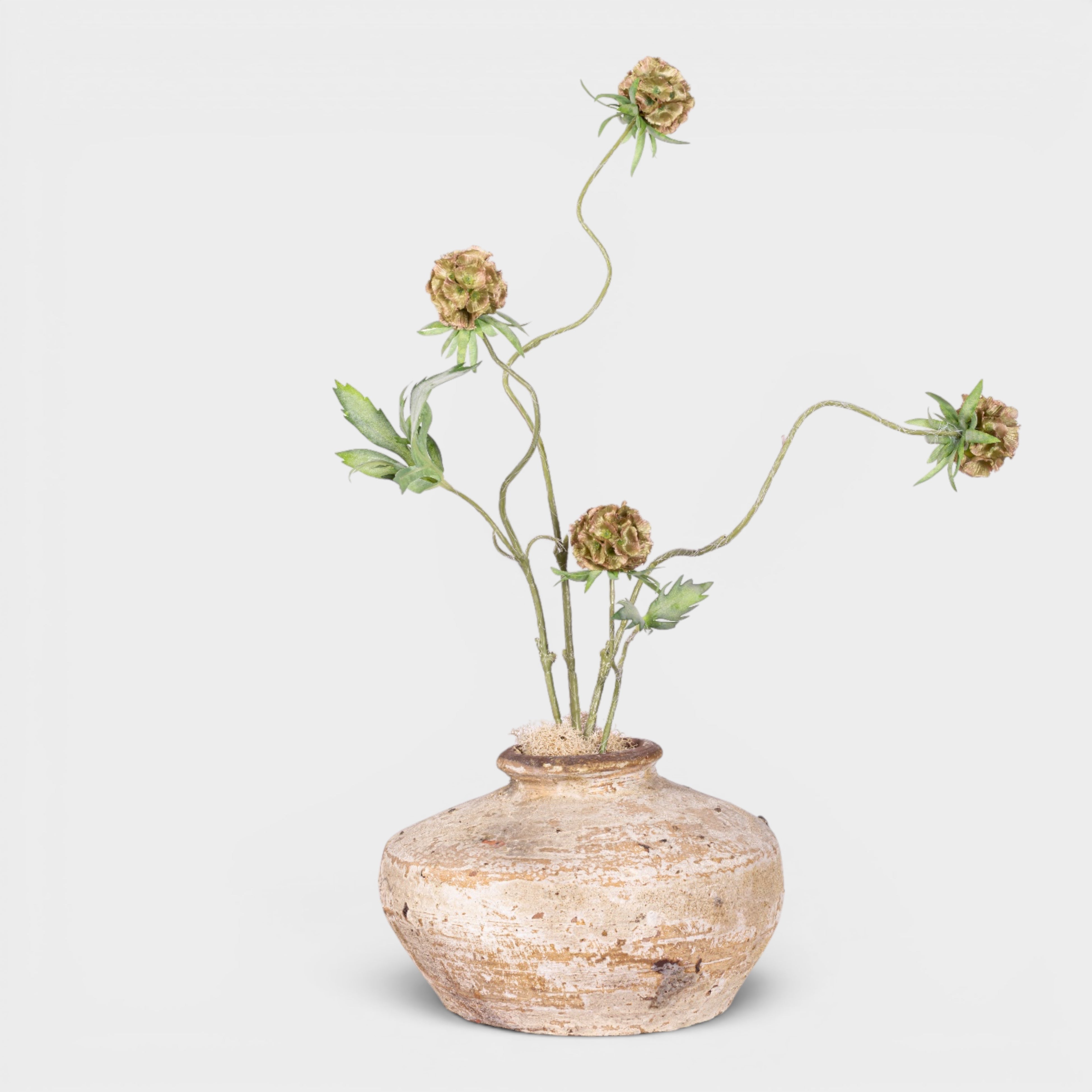 13" Loen Pot with Scabiosa Stem Arrangement AR1993