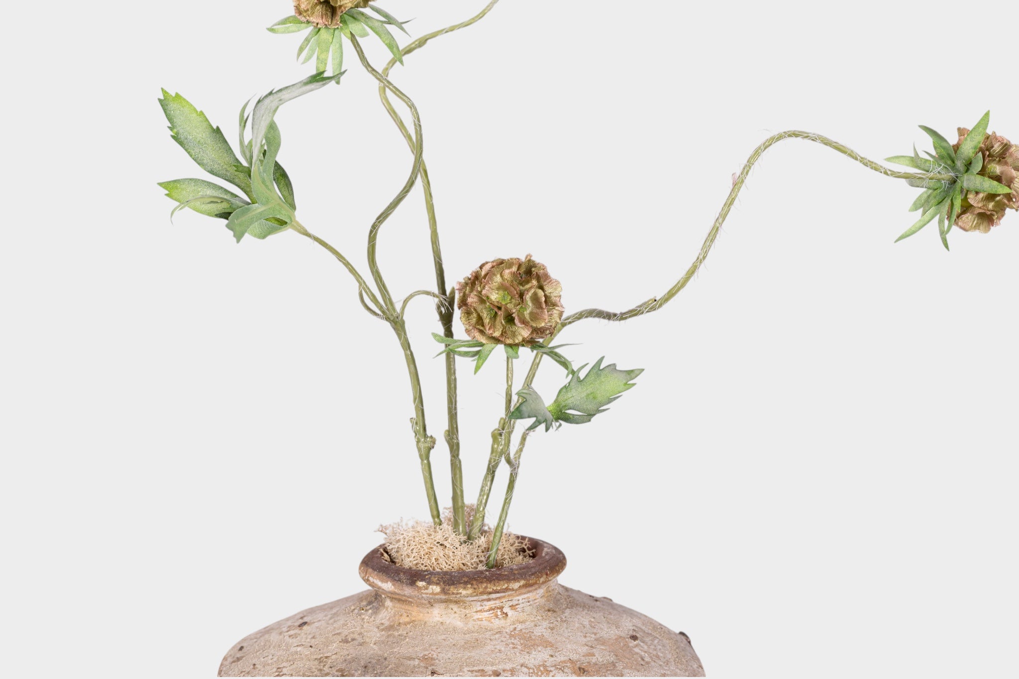 13" Loen Pot with Scabiosa Stem Arrangement AR1993