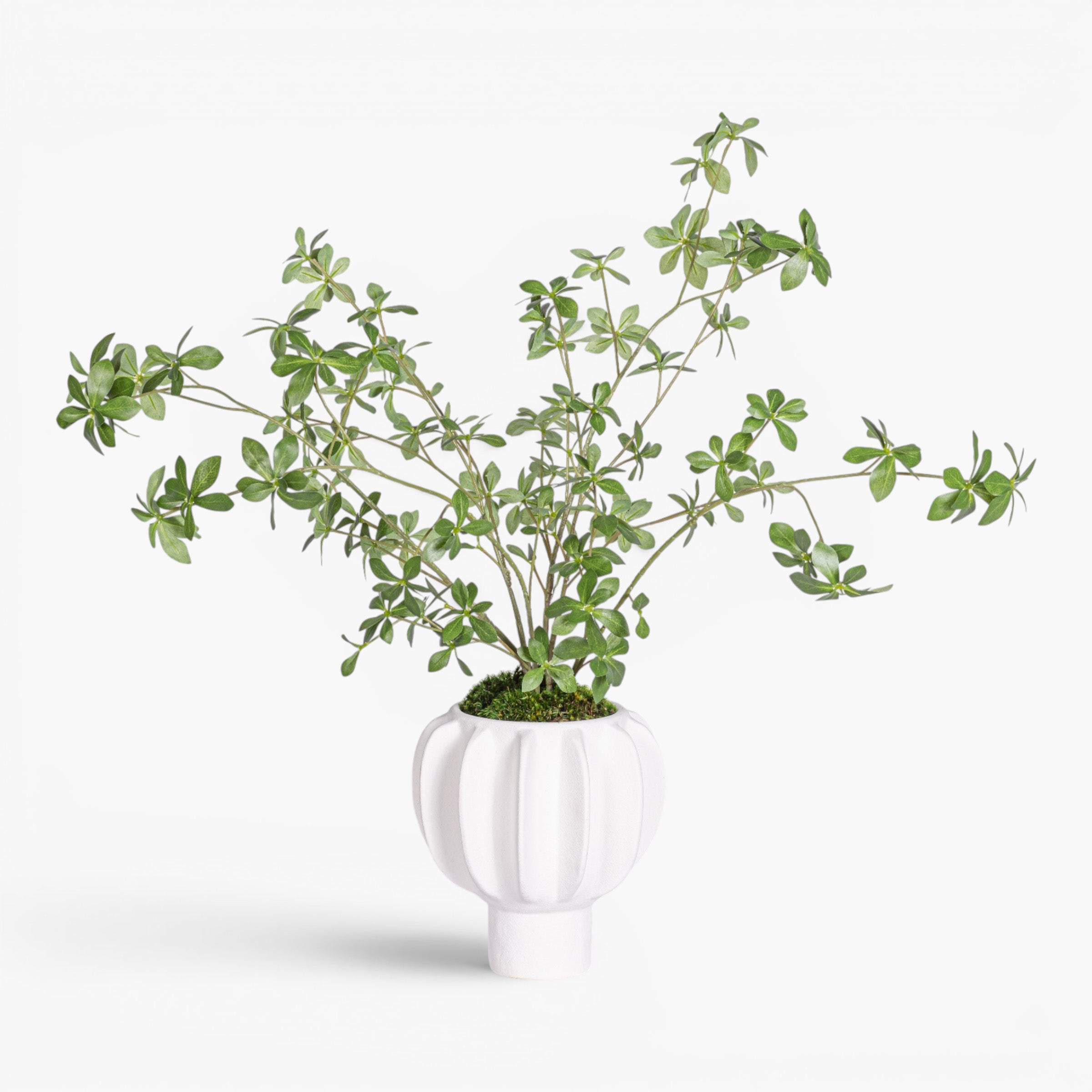 Luna Pot with Greenery Arrangement AR1996