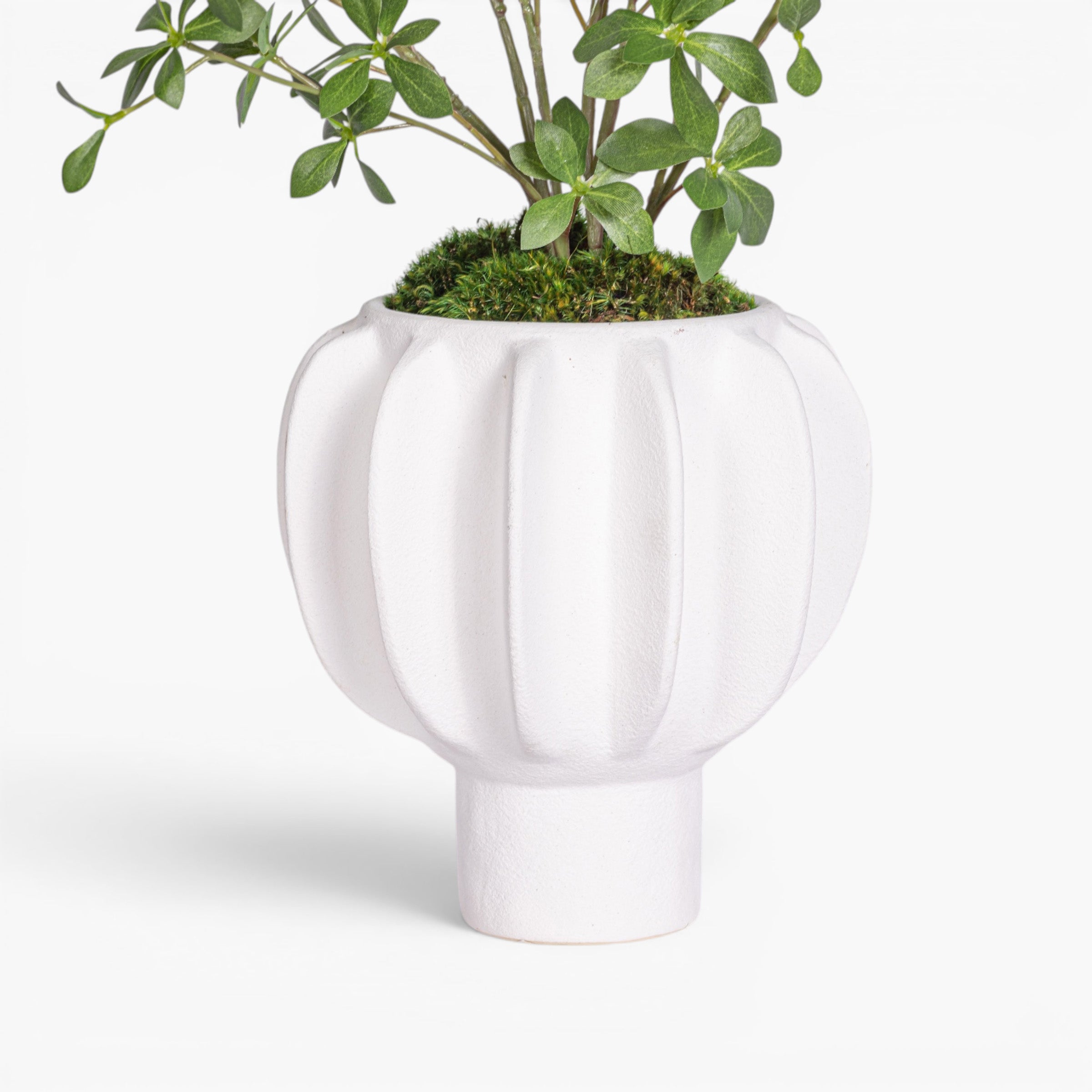 Luna Pot with Greenery Arrangement AR1996