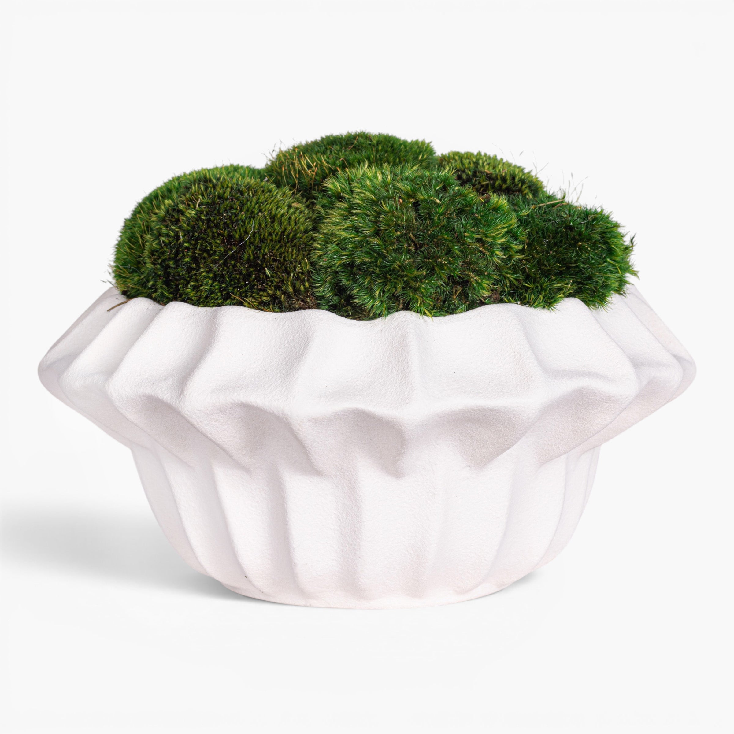 Adelaine Bowl with Mood Moss Arrangement AR2003