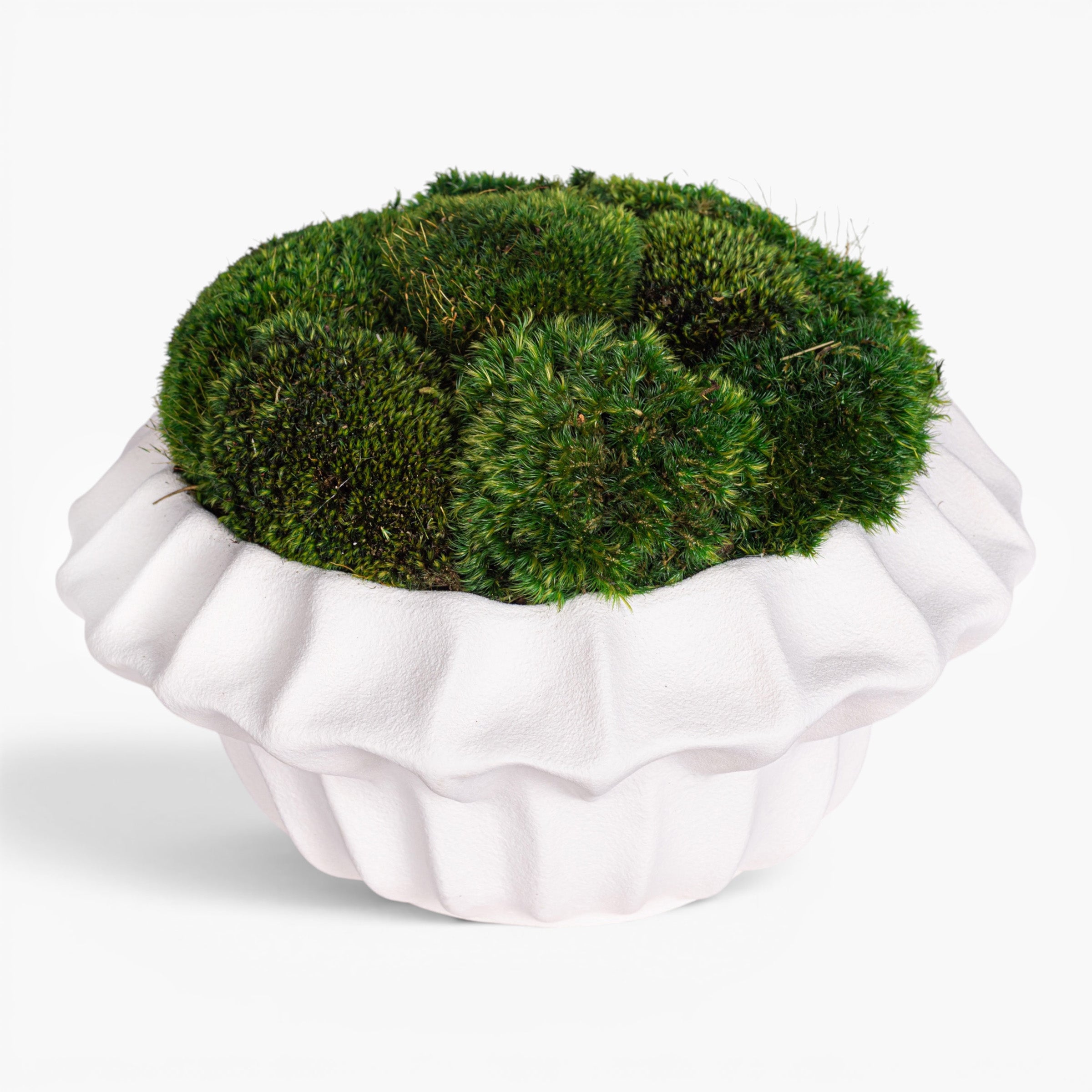 Adelaine Bowl with Mood Moss Arrangement AR2003