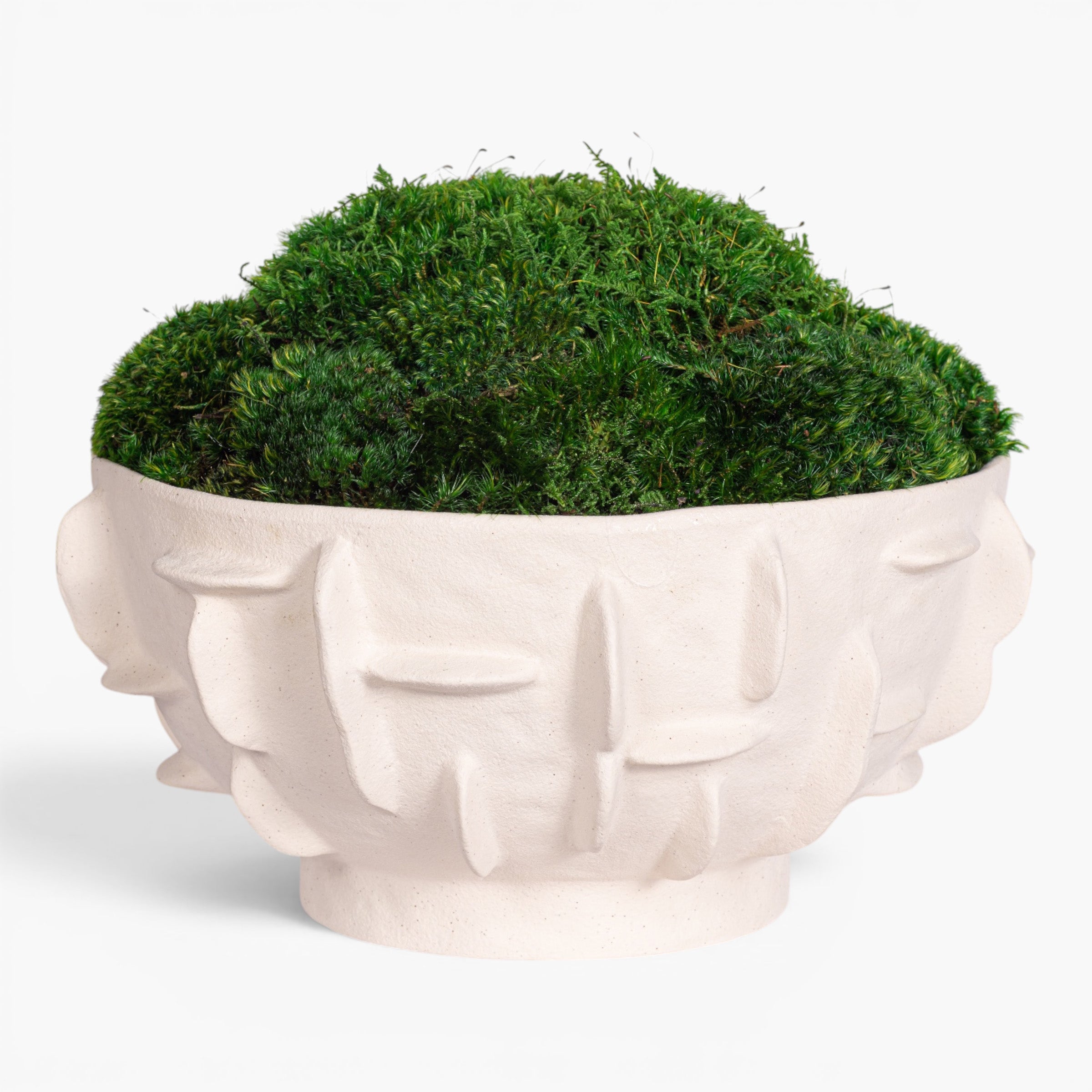 Finnegan Bowl with Mood Moss Arrangement AR2004
