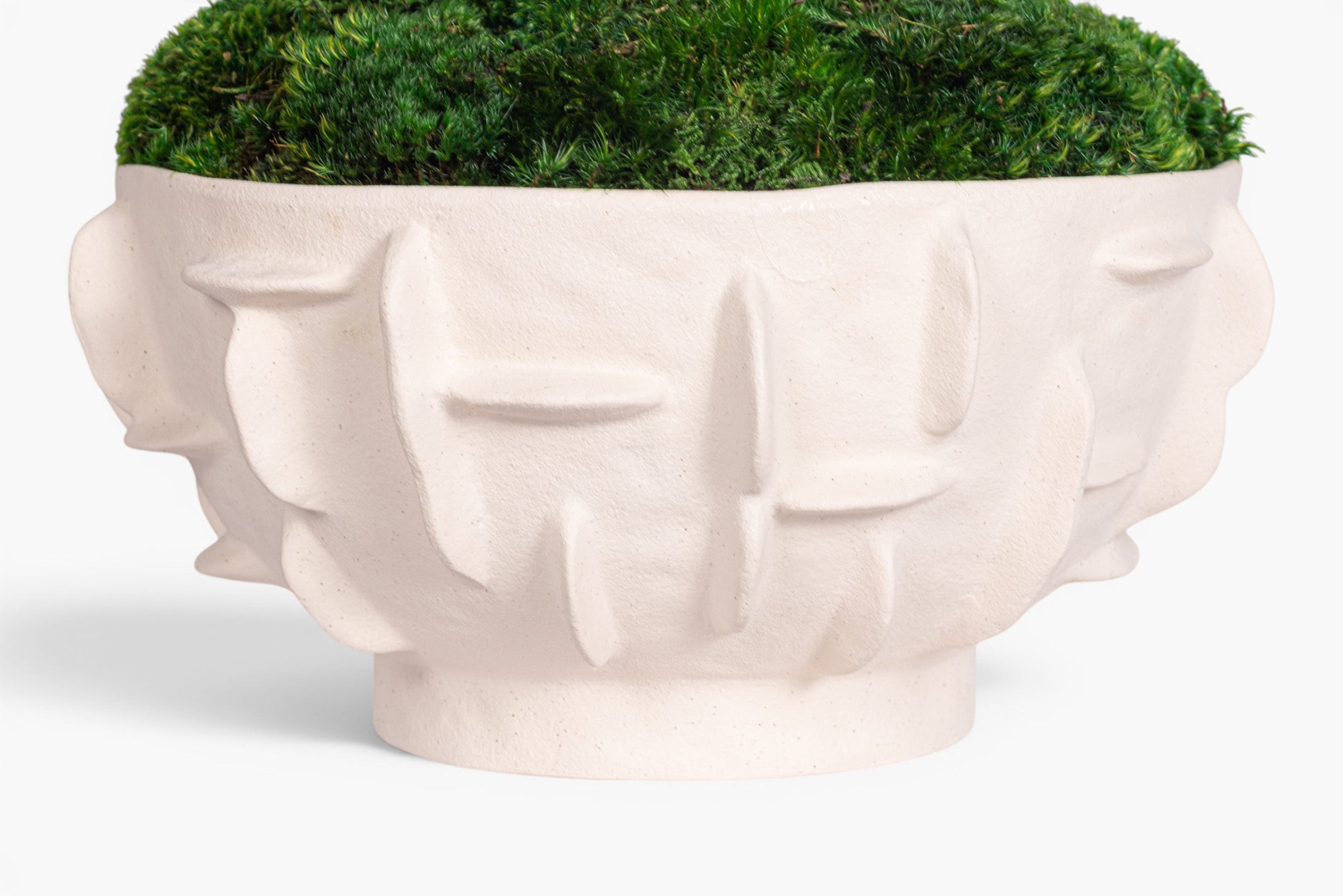 Finnegan Bowl with Mood Moss Arrangement AR2004