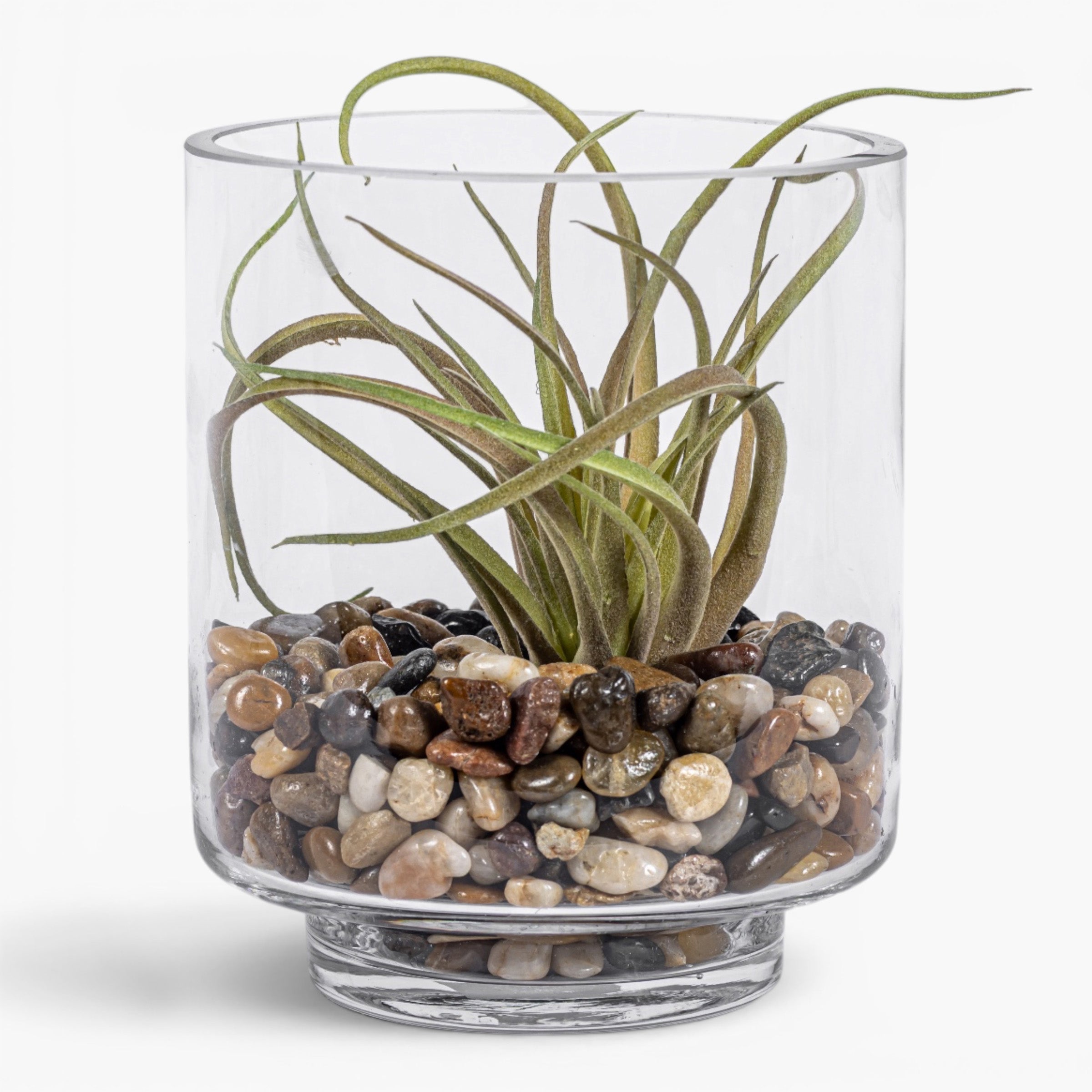 Harbor Vase with Airplant Arrangement AR2006