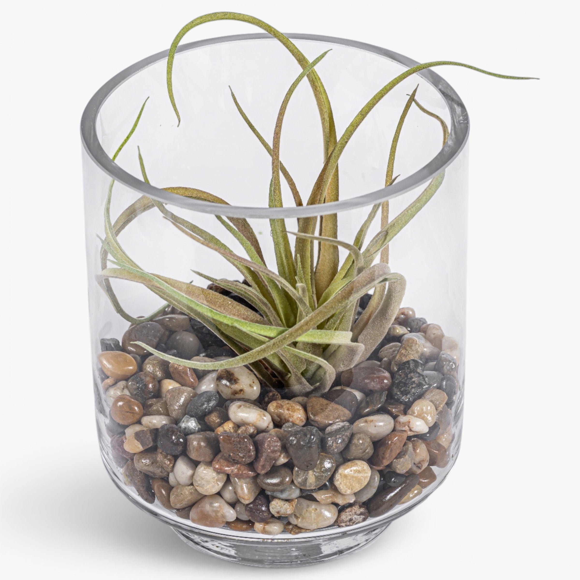 Harbor Vase with Airplant Arrangement AR2006