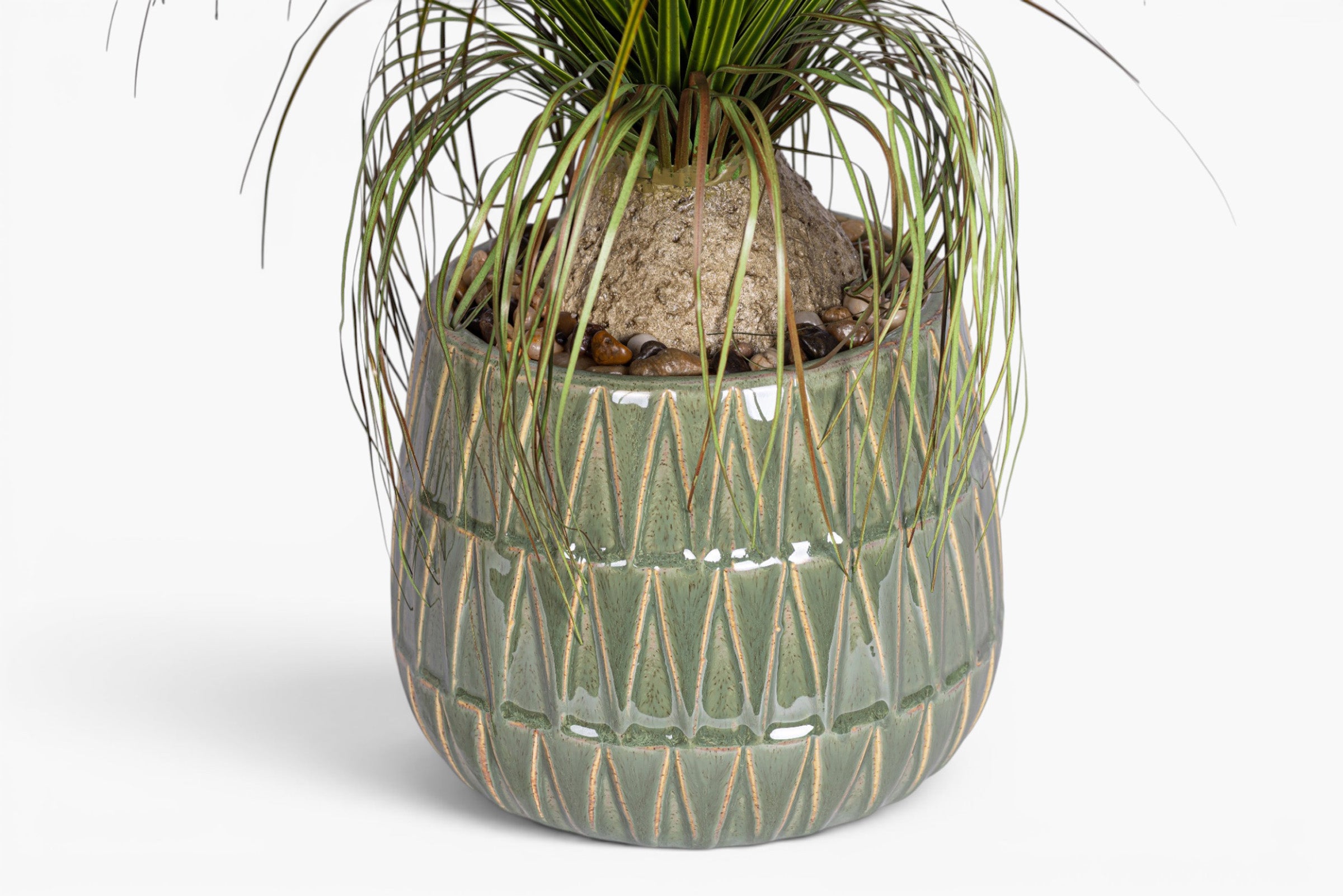 Jade Planter with Ponytail Palm Arrangement AR2008