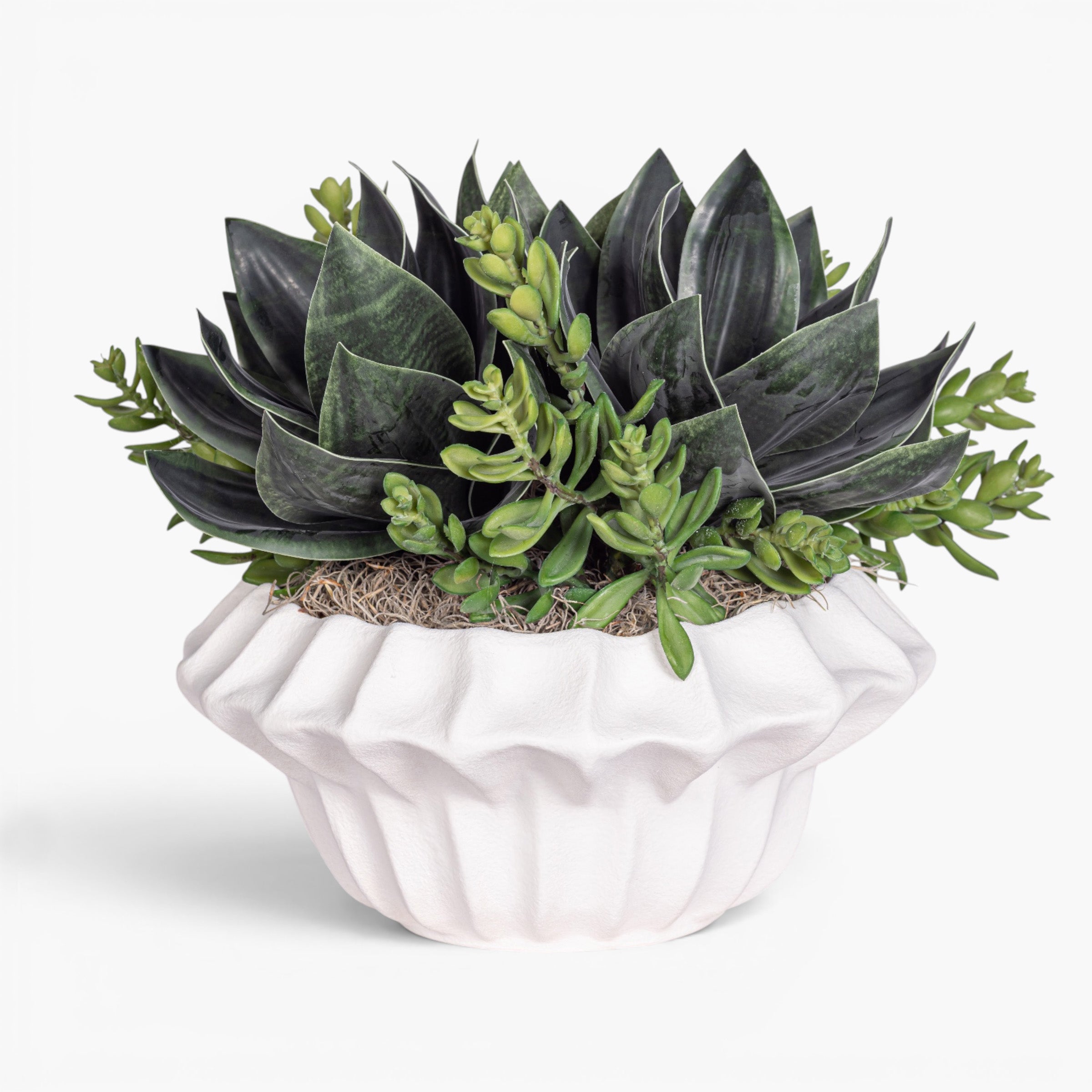 Adelaine Bowl with Succulent Arrangement AR2010