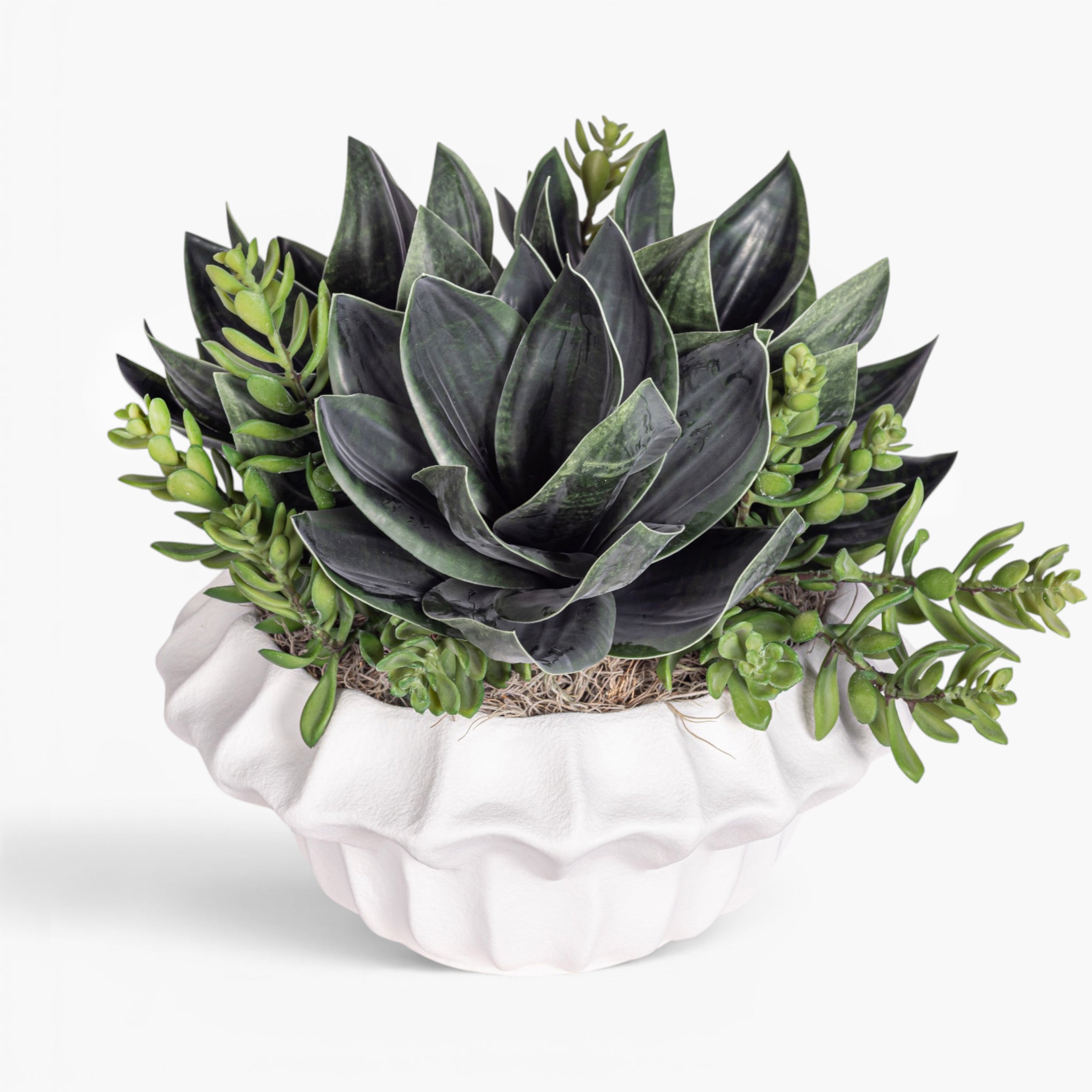 Adelaine Bowl with Succulent Arrangement AR2010