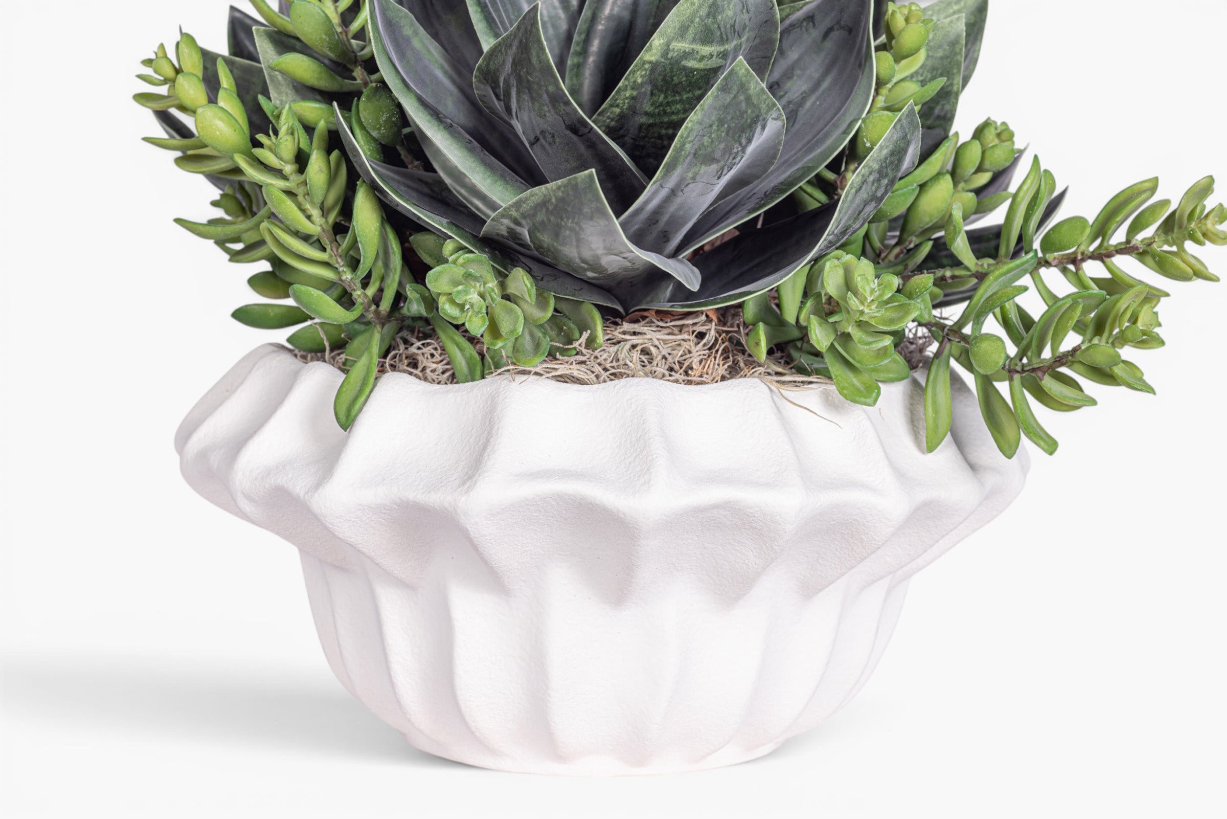 Adelaine Bowl with Succulent Arrangement AR2010