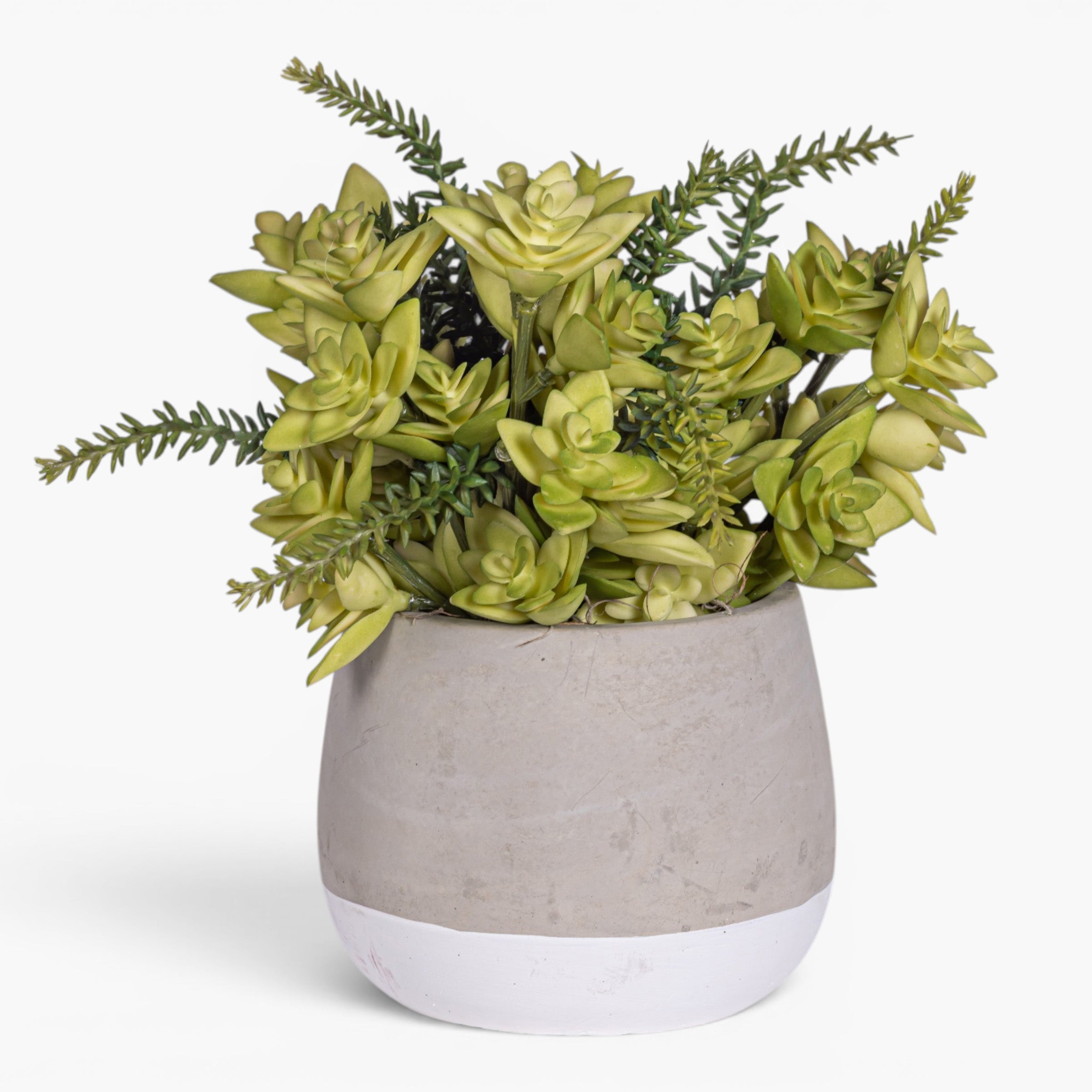 Ellie Pot with Succulent Arrangement AR2011