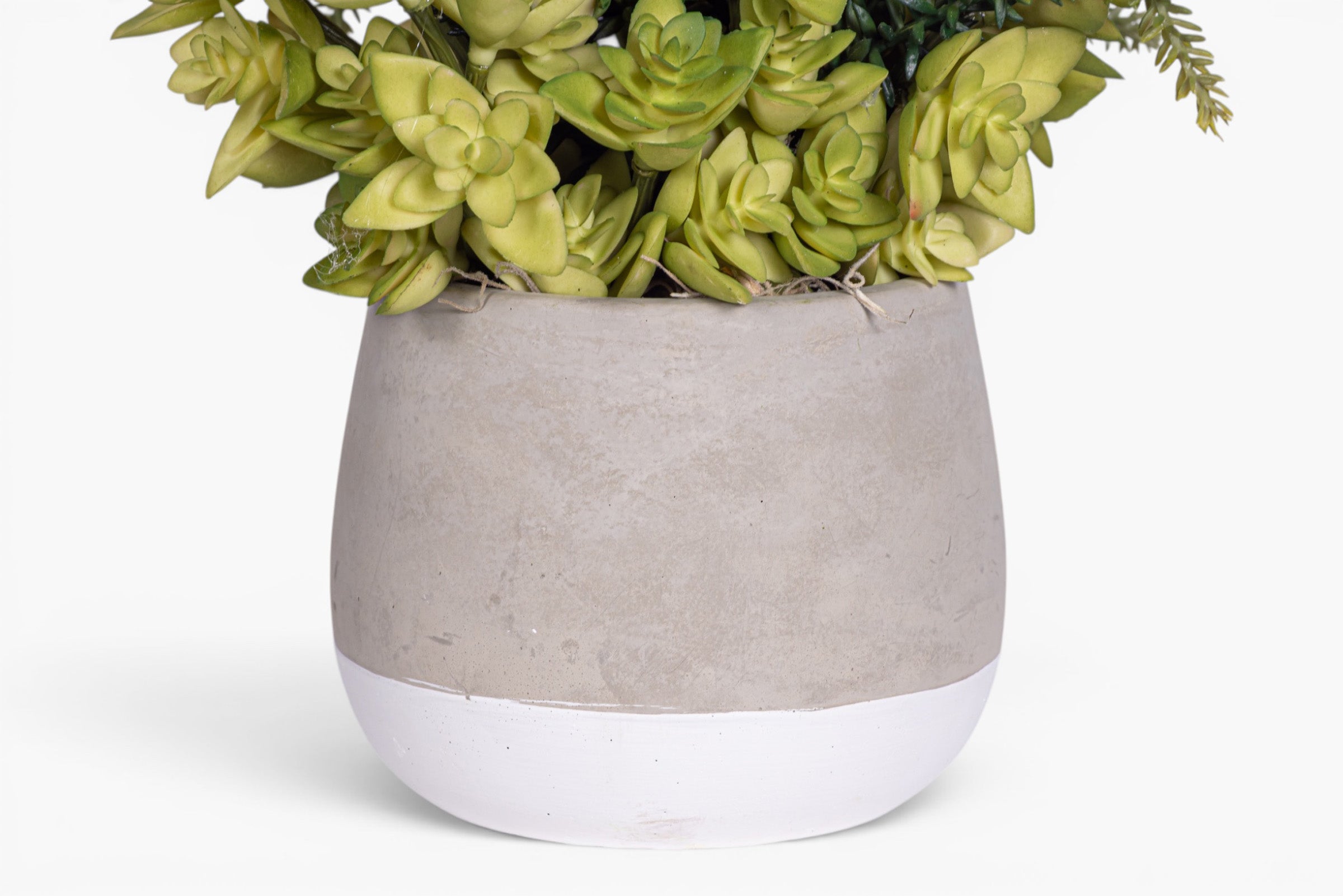 Ellie Pot with Succulent Arrangement AR2011