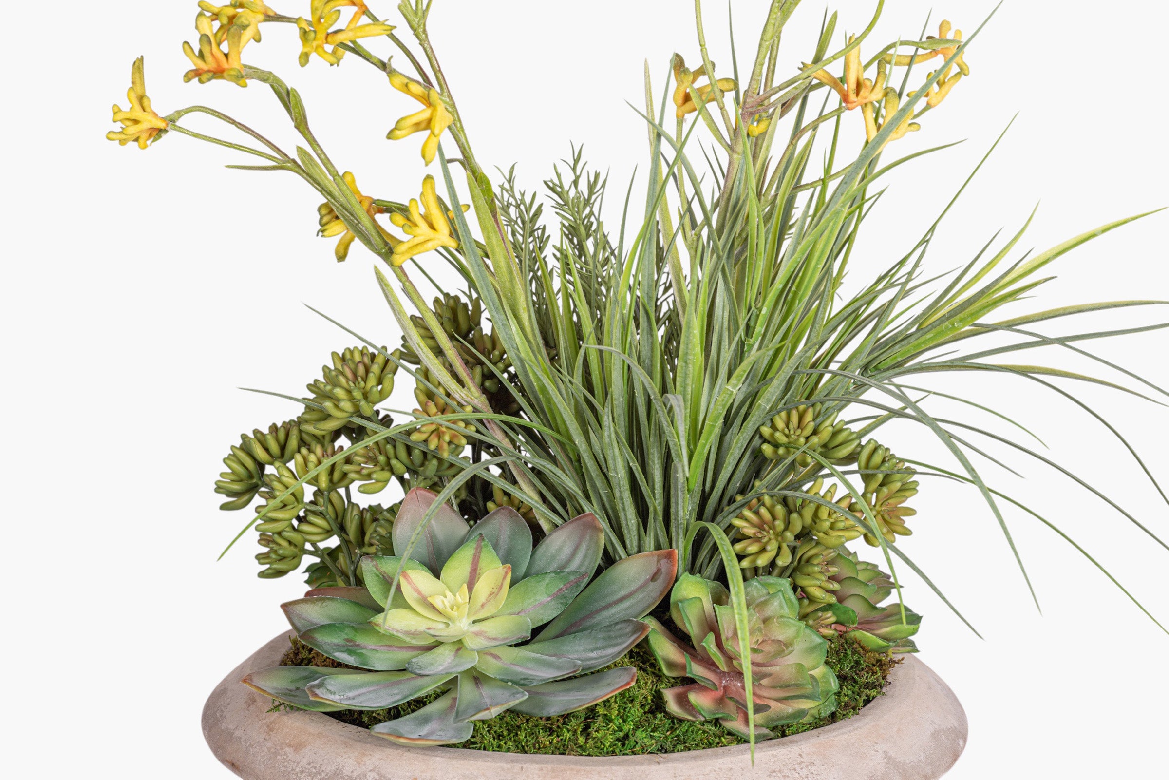 Sayulita Saucer wiht Mixed Arrangement AR2012