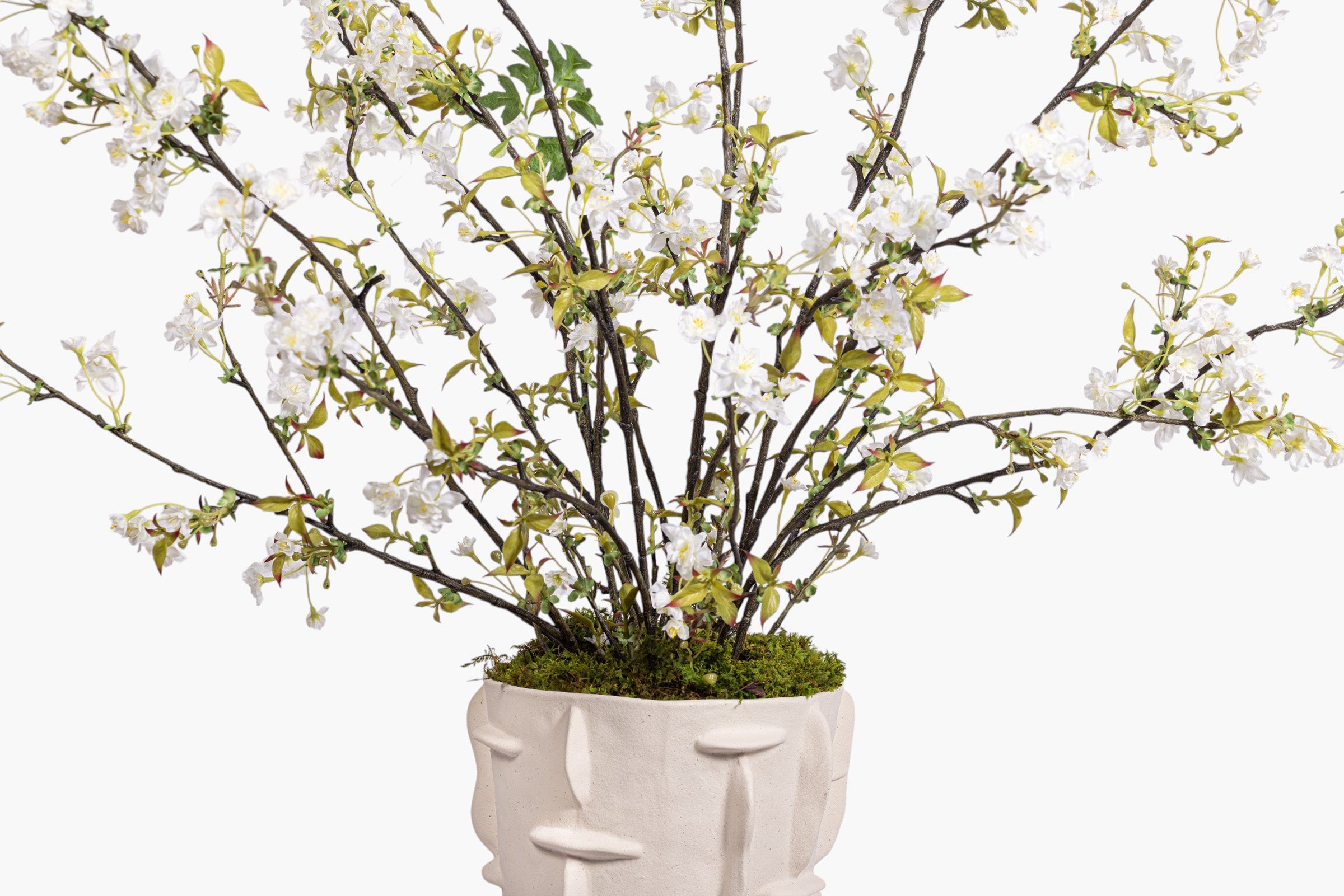 Finnegan Vase with Cherry Blossom Arrangement AR2014