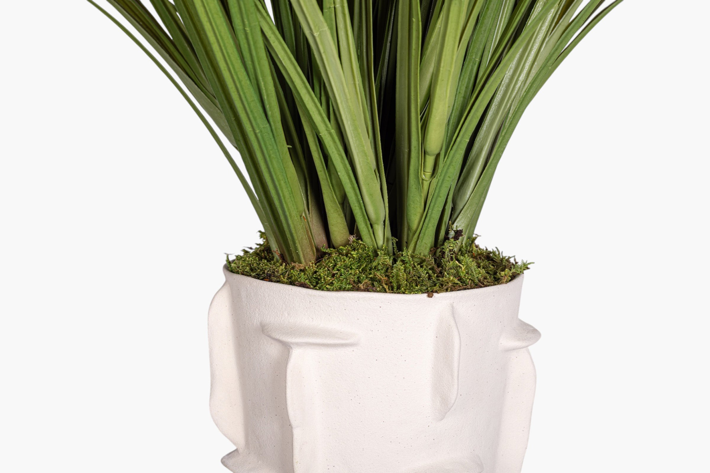 Finnegan Vase with Grass Arrangement AR2016