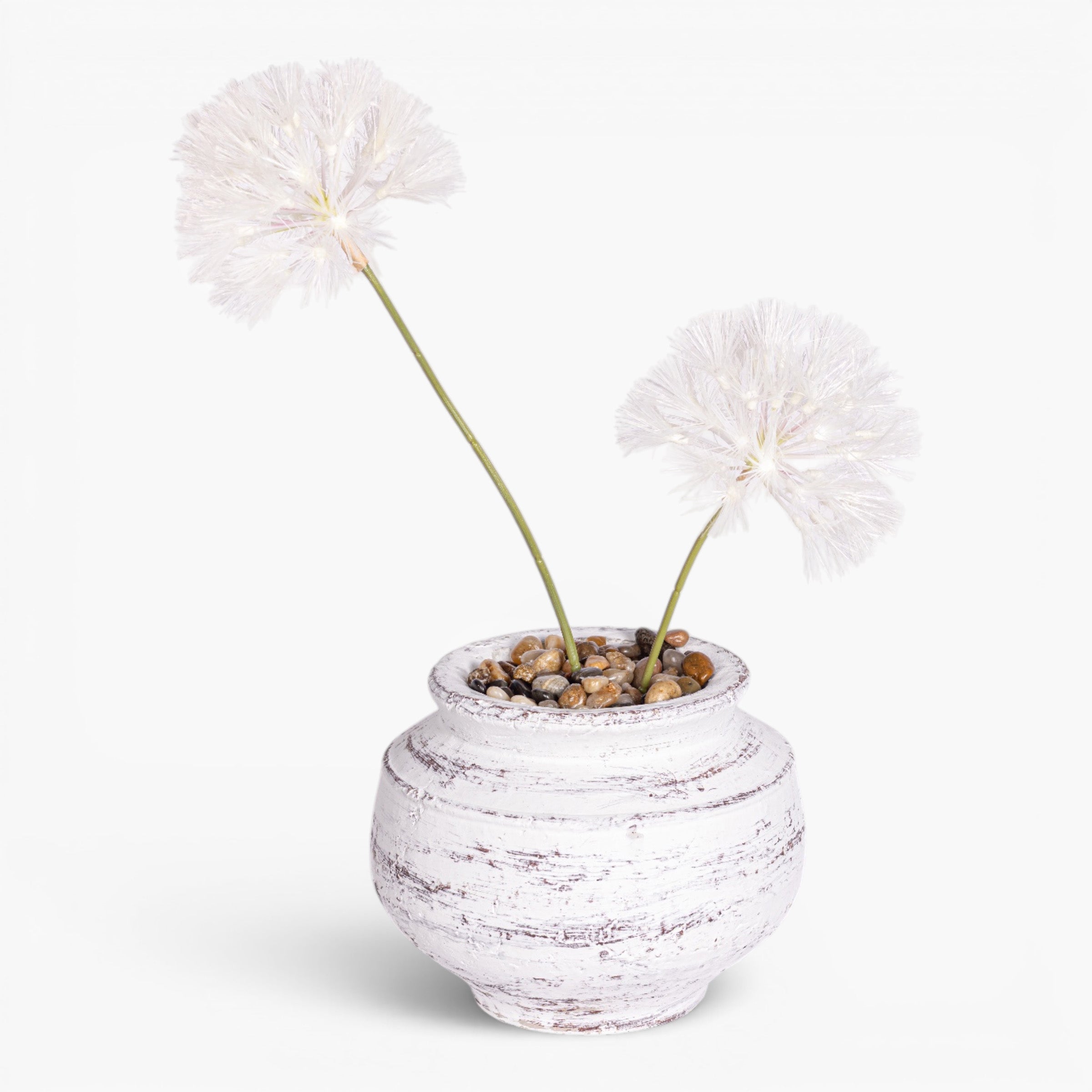 Bella Pot with Dandelion Arrangement AR2017