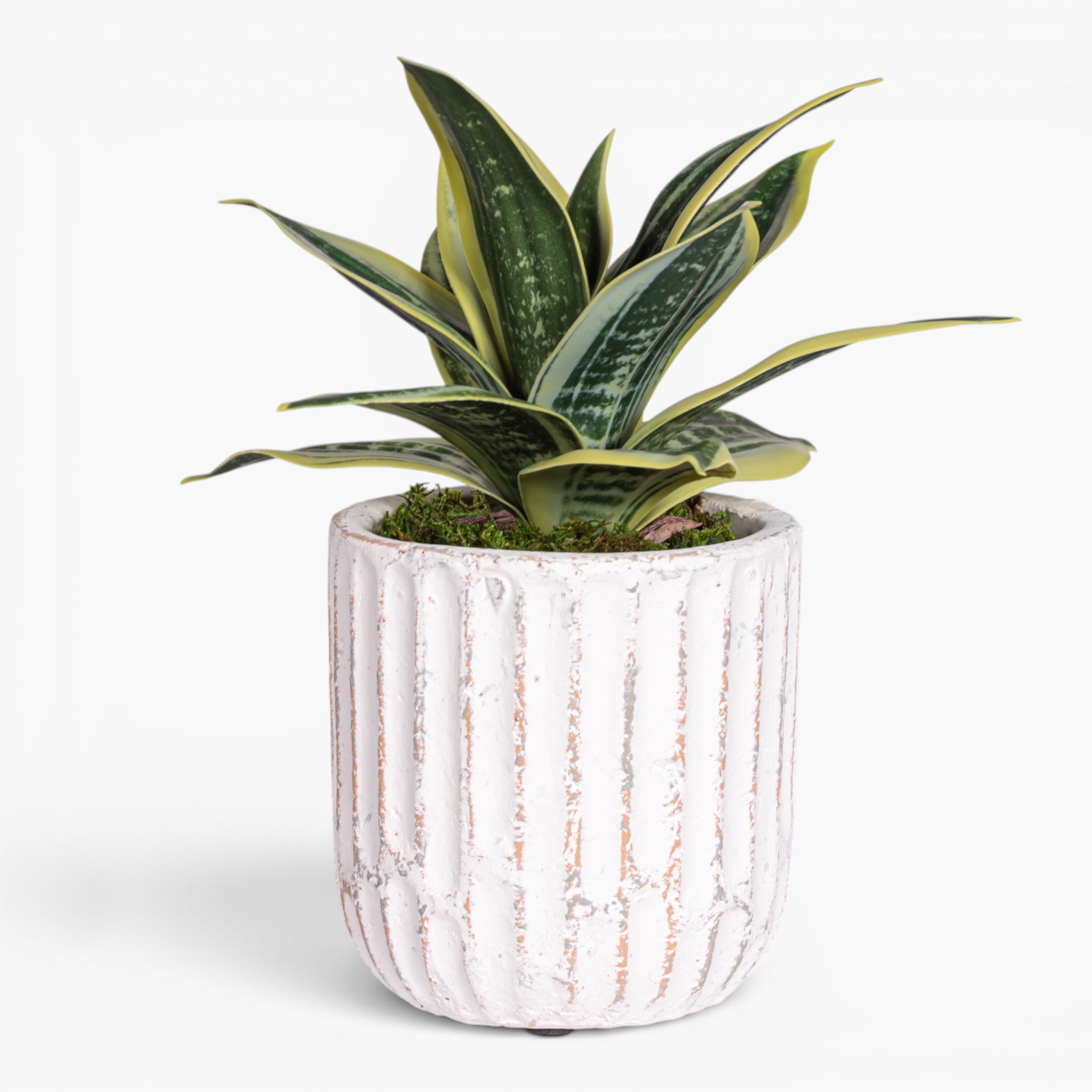Margo Pot with Snake Flower Arrangement AR2019