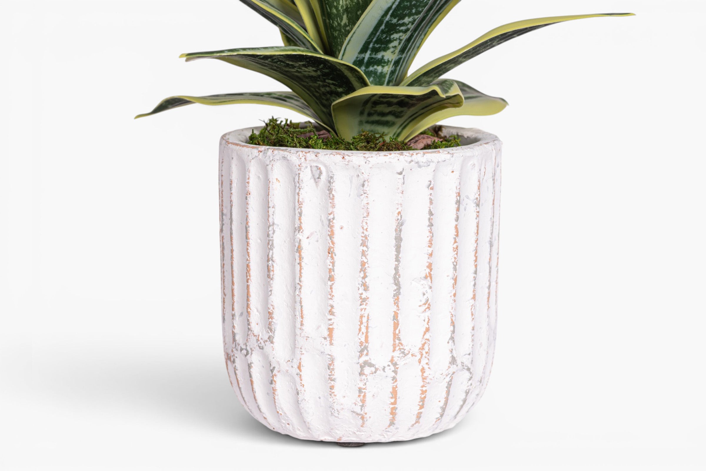 Margo Pot with Snake Flower Arrangement AR2019