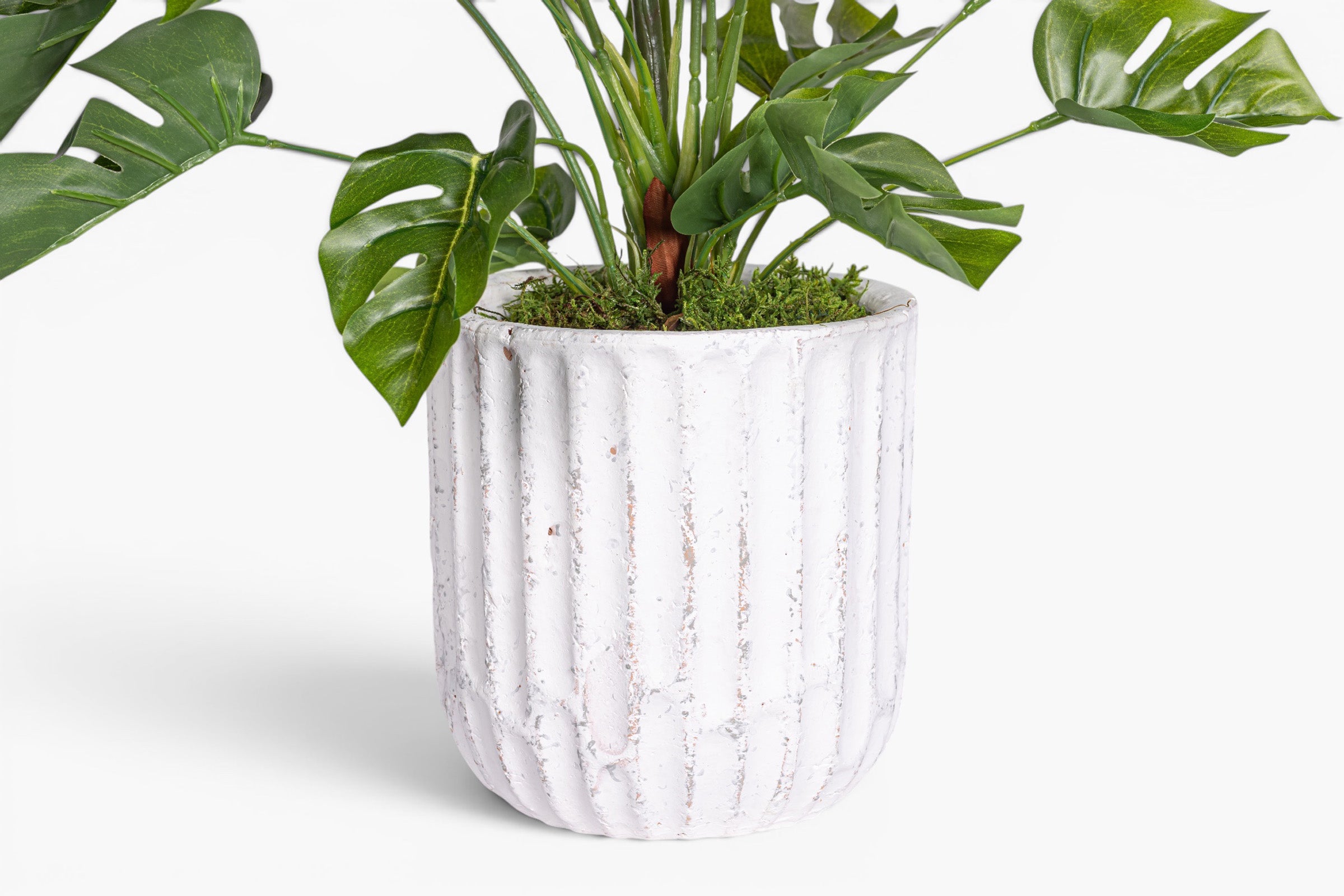 Margo Pot with Philodendron Arrangement AR2020