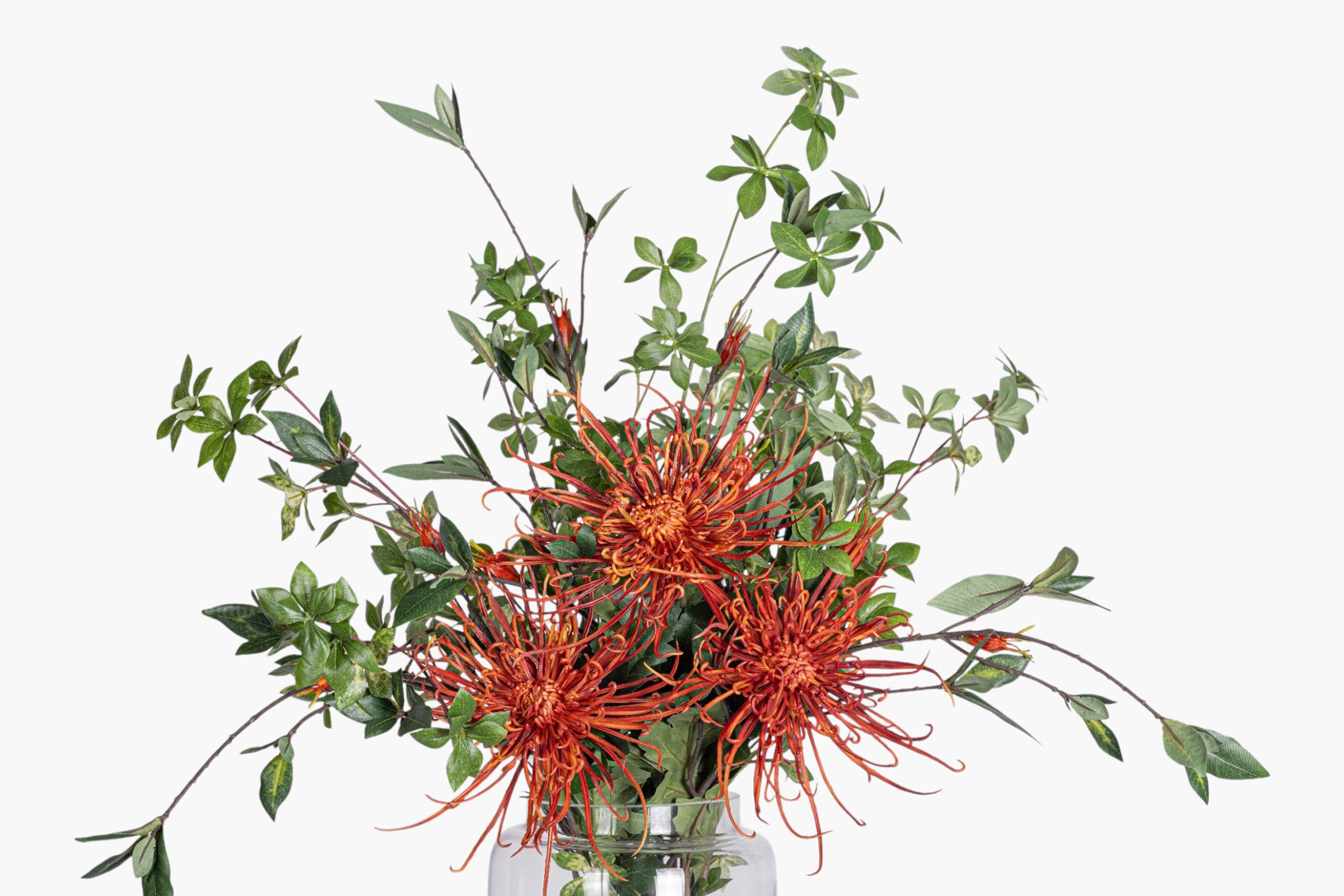 Kailee Vase with Protea Arrangement AR2021