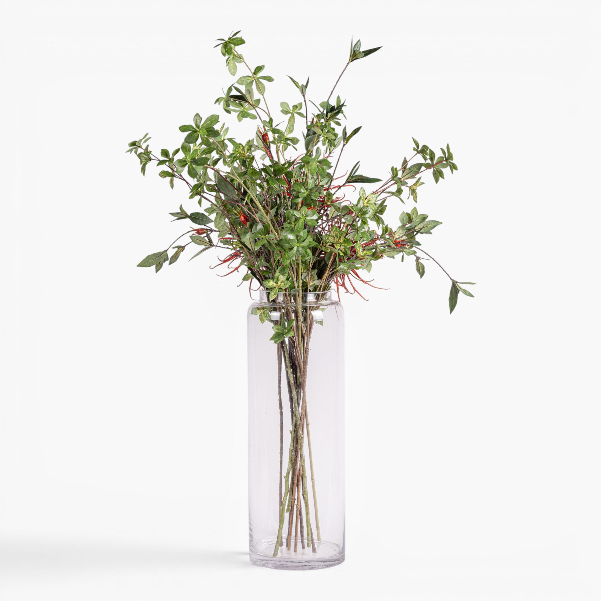Kailee Vase with Protea Arrangement AR2021