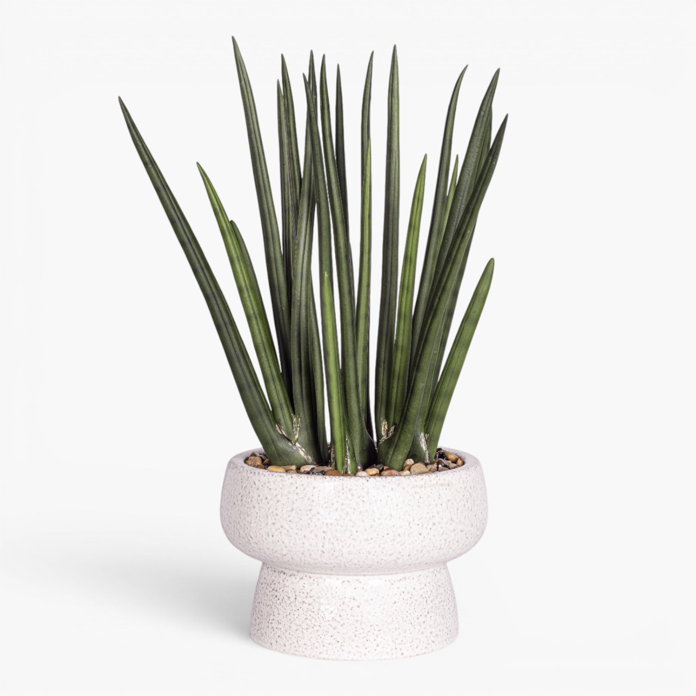 Shroom Compote with Snake Stem Arrangement AR2024