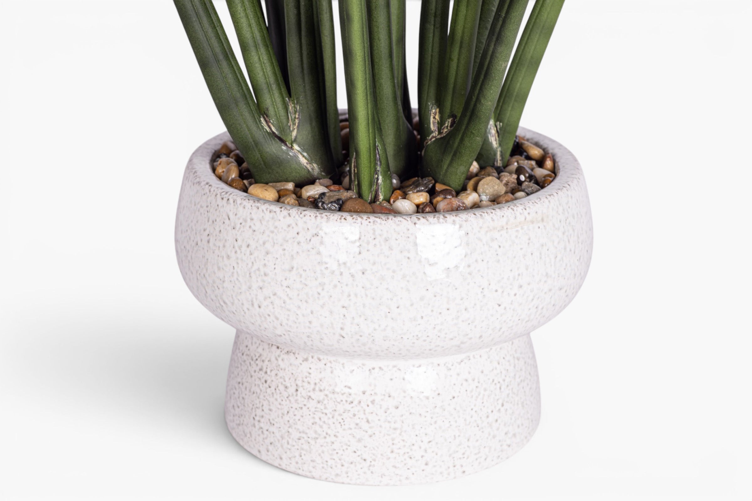 Shroom Compote with Snake Stem Arrangement AR2024