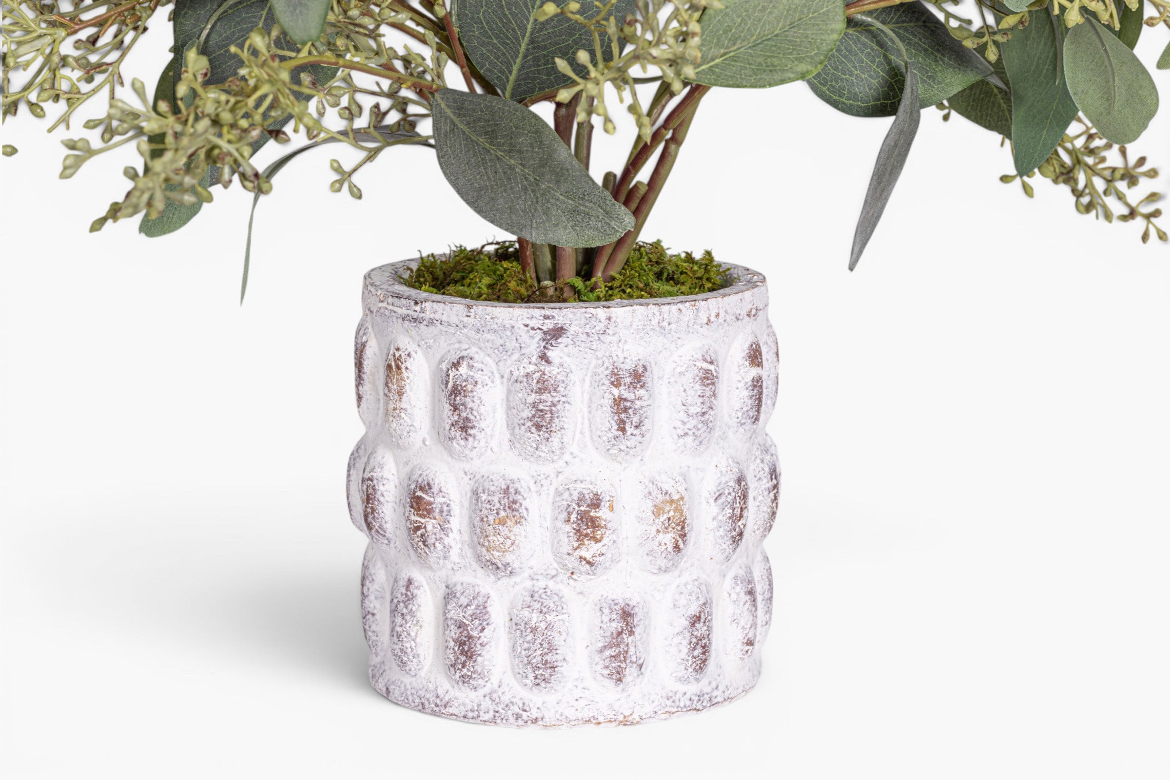 Pebble Pot with Eucalyptus Stem Arrangement AR2025