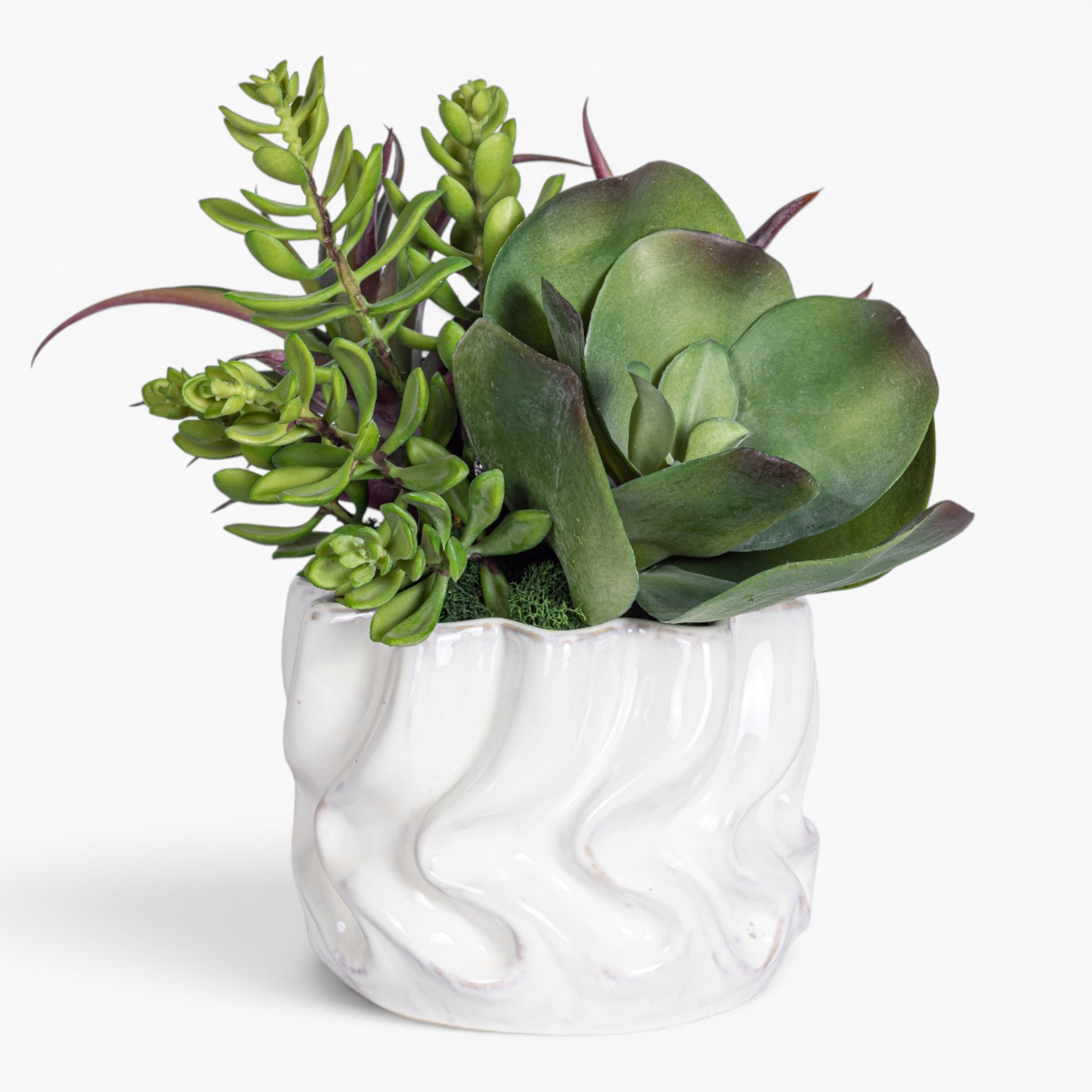 Wave Pot with Succulent Arrangement AR2026