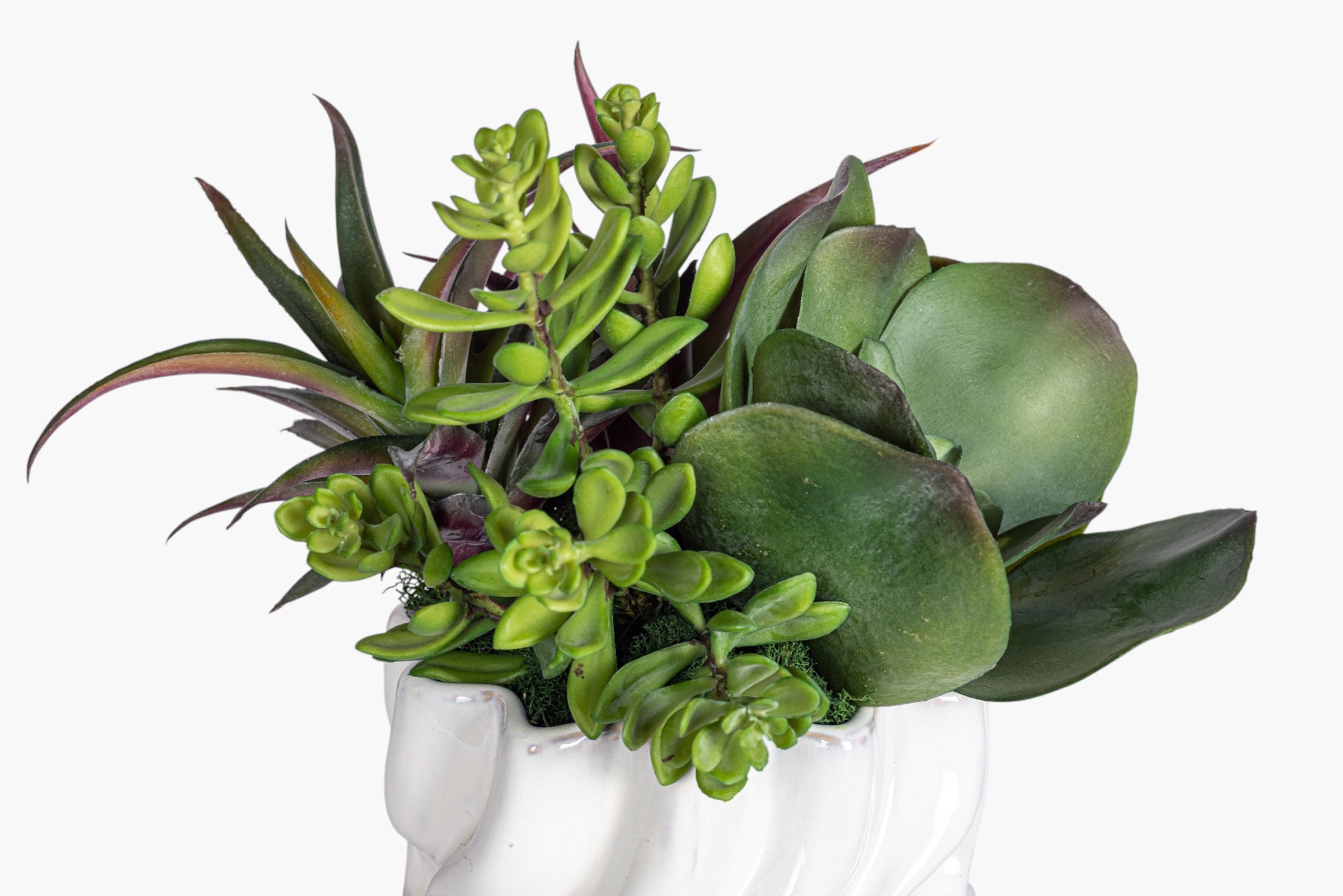 Wave Pot with Succulent Arrangement AR2026