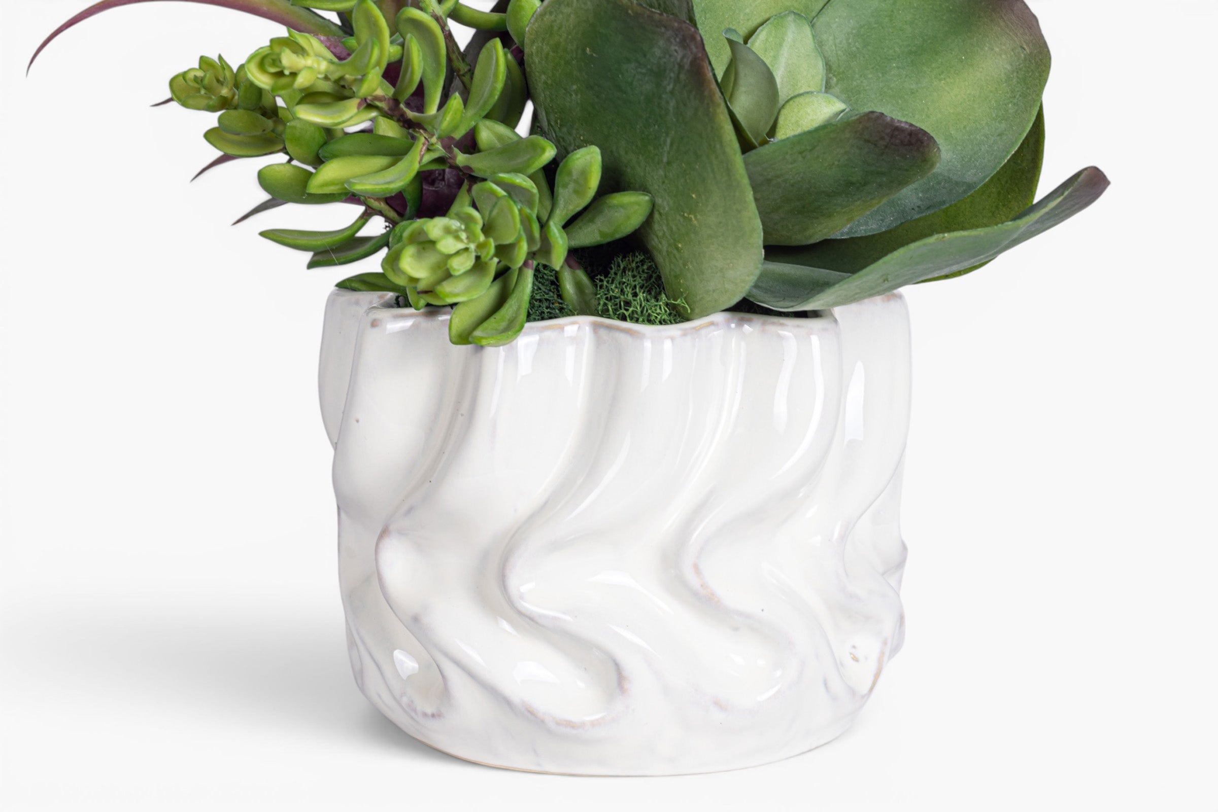 Wave Pot with Succulent Arrangement AR2026