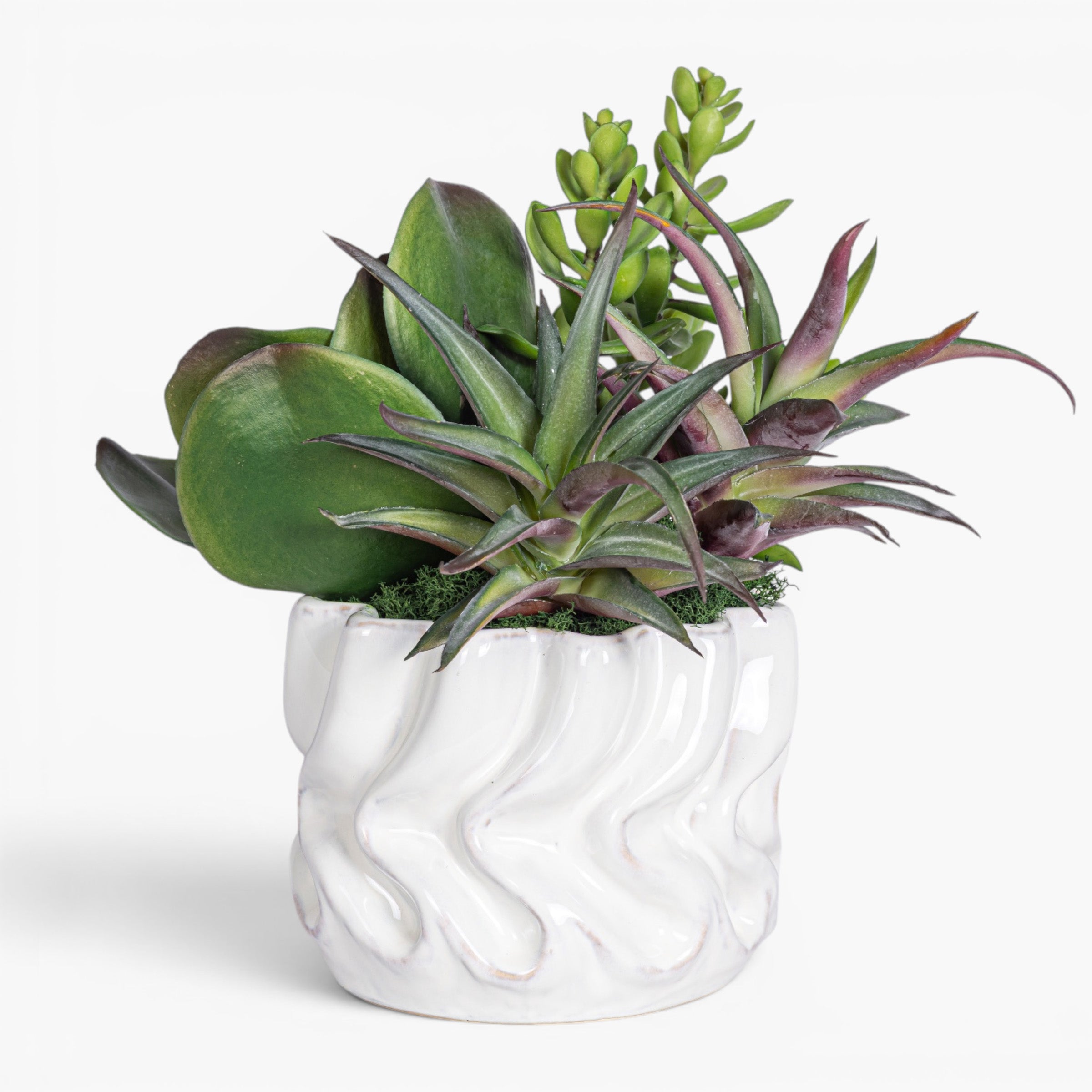 Wave Pot with Succulent Arrangement AR2026