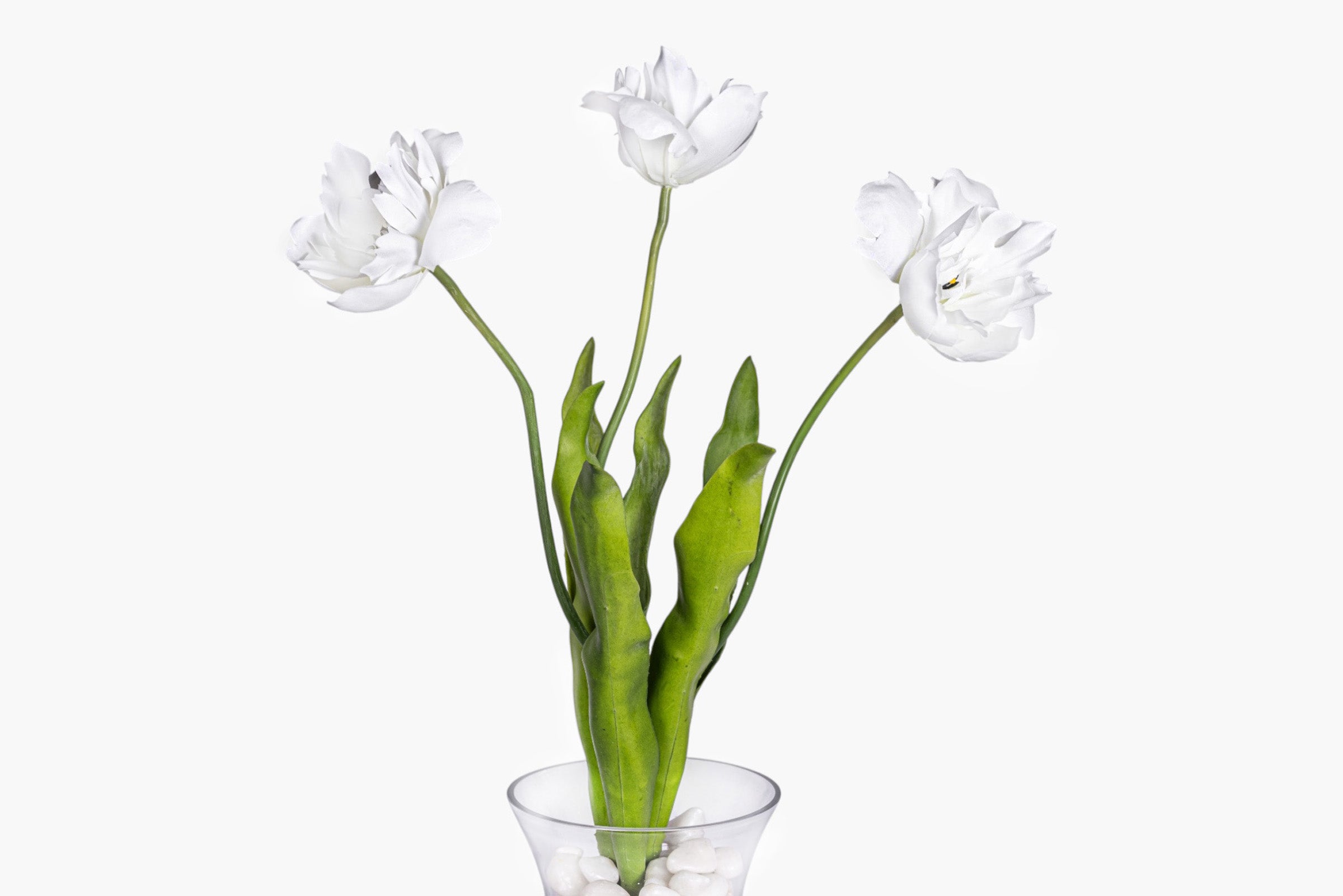 Silhoutte Glass with Parrot Tulip Arrangement AR2031