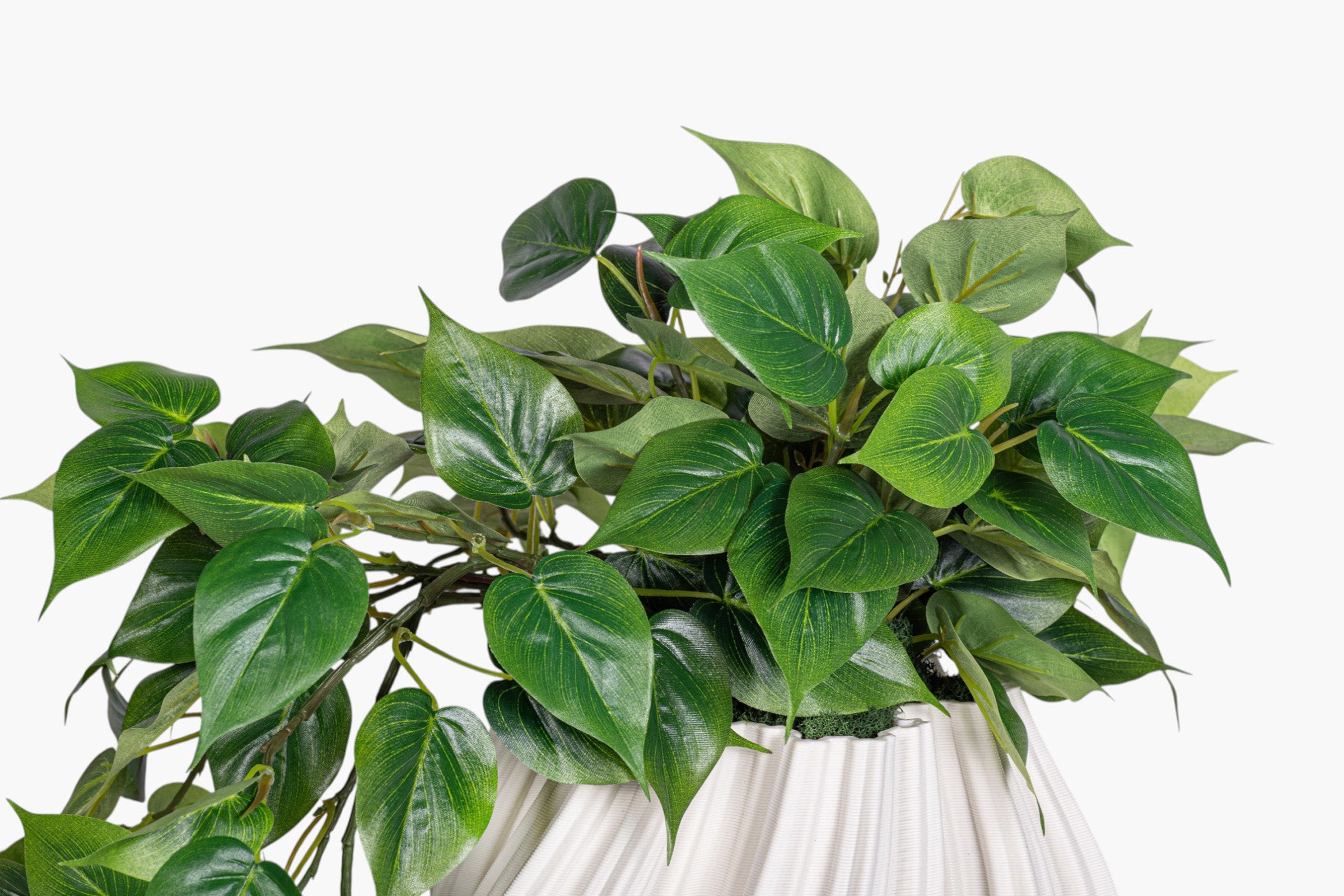 Las Olas Vase with Pothos Arrangement AR2032