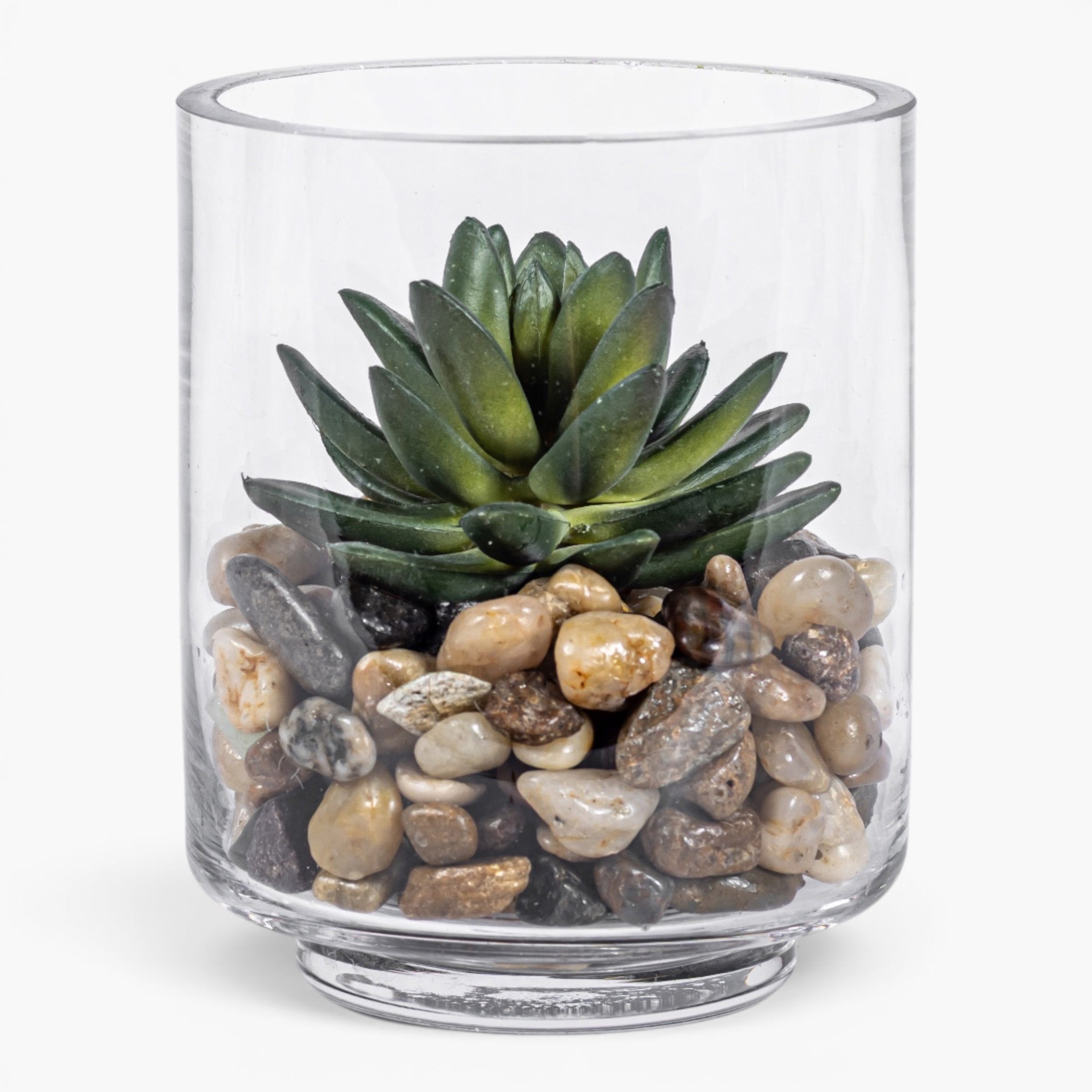 Harbor Vase with Succulent Arrangement AR2034