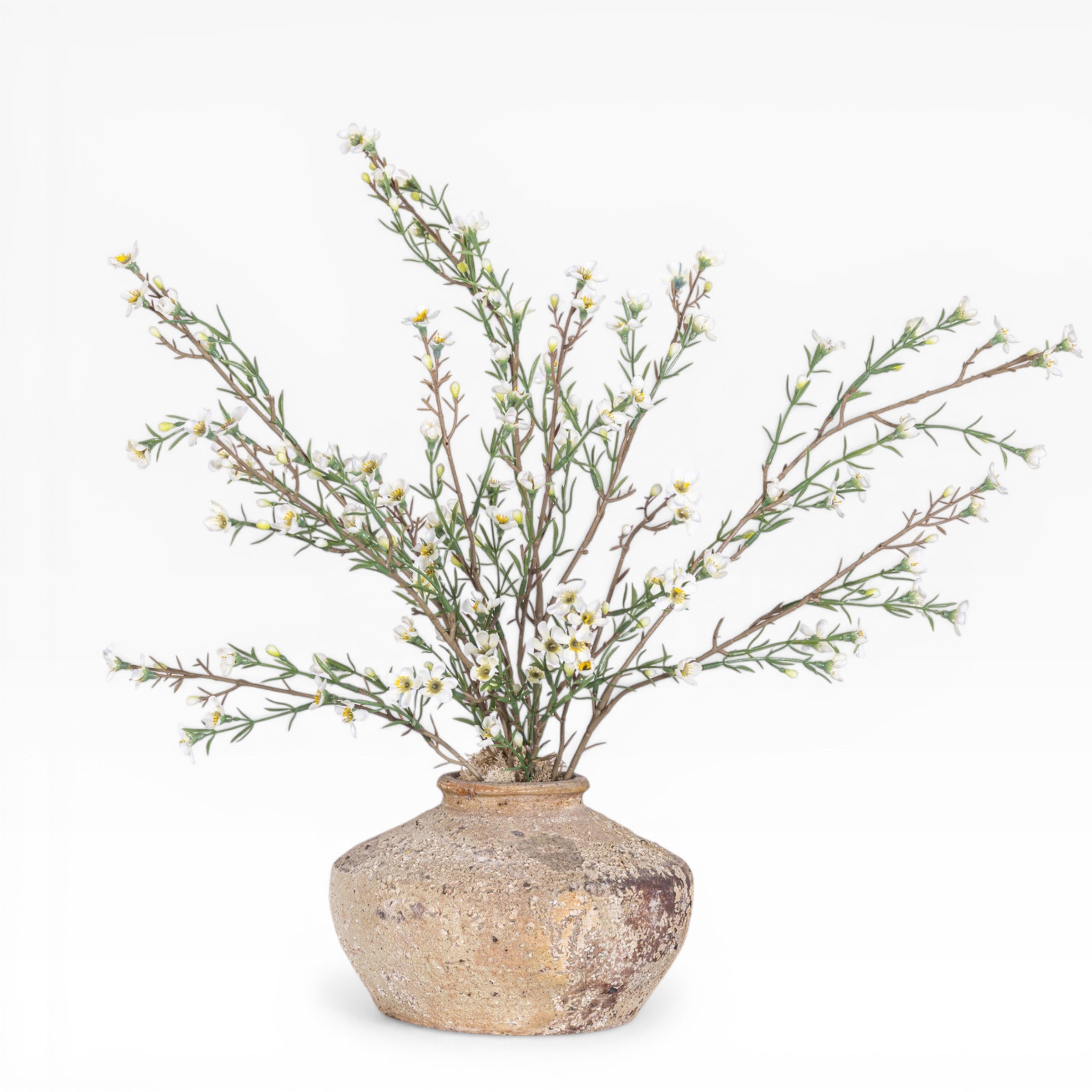 5" Loen Pot with Myrtle Flower Blossom Arrangement