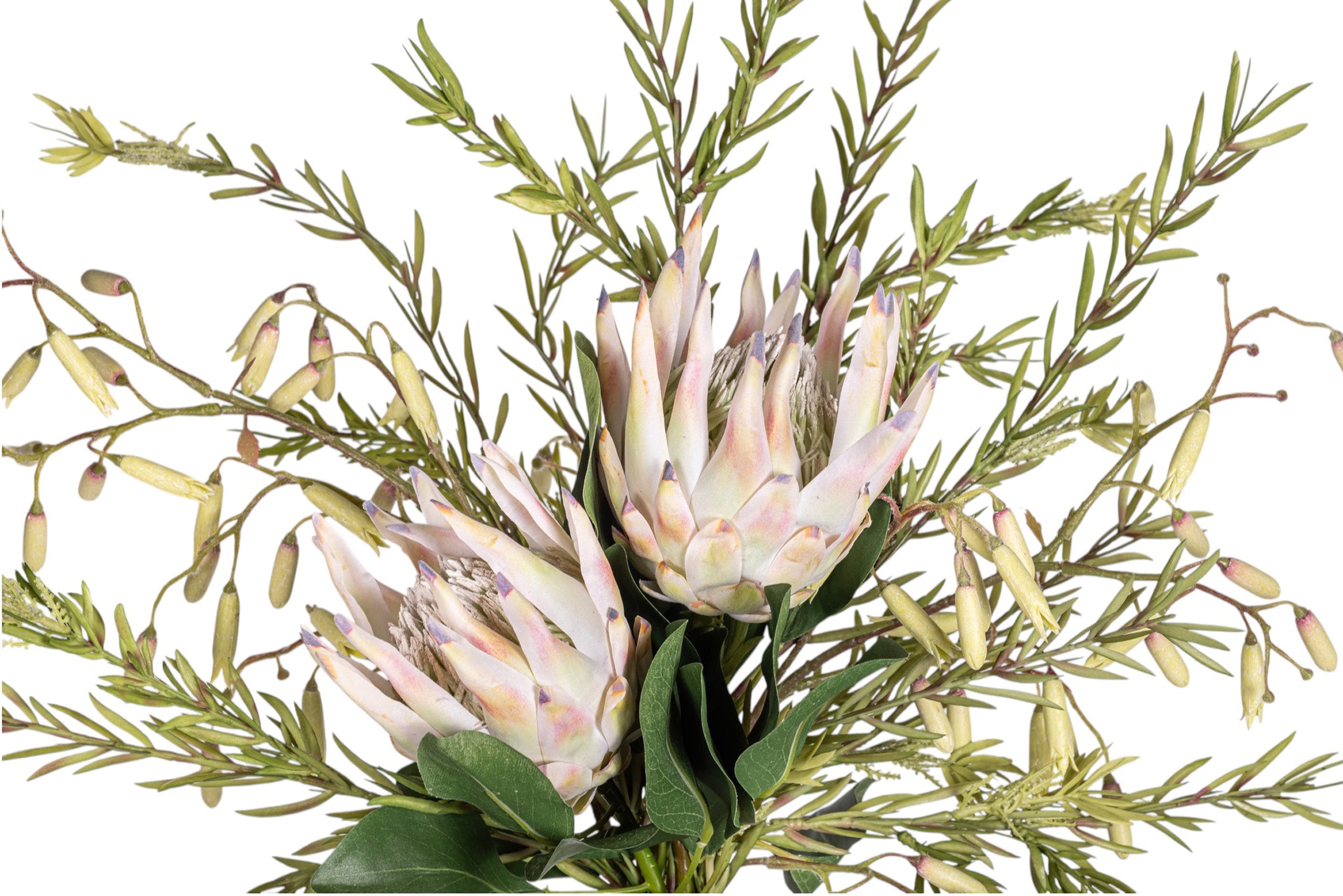 14" San Miguel Jug with King Protea Arrangement