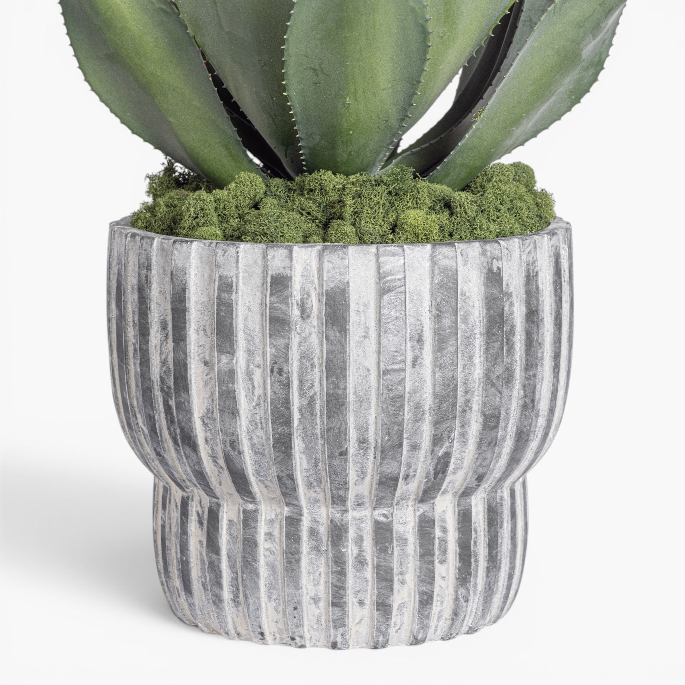 Bobby Planter with Agave Stem Arrangement   AR2036
