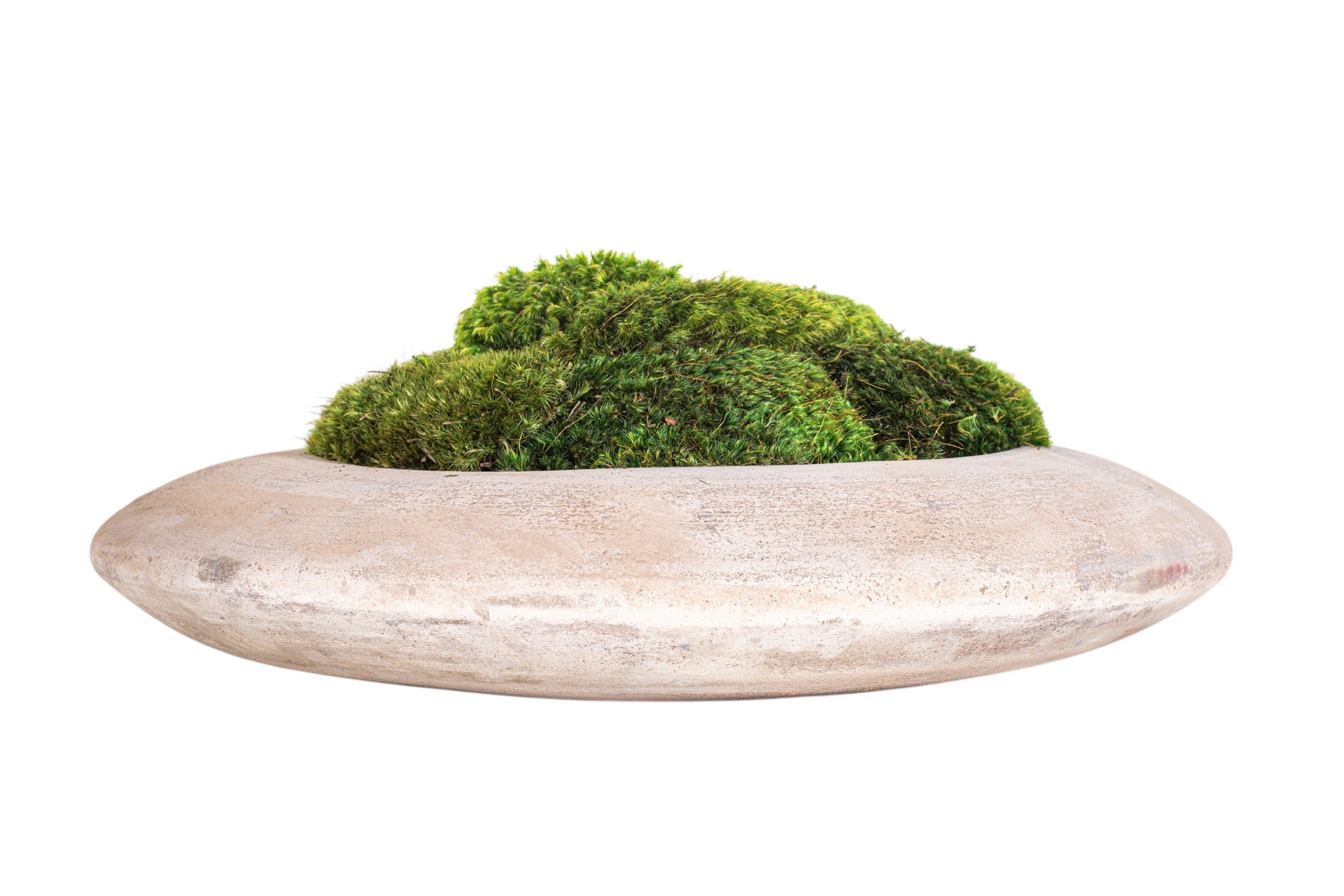 14" Flying Saucer with Mood Moss AR1181