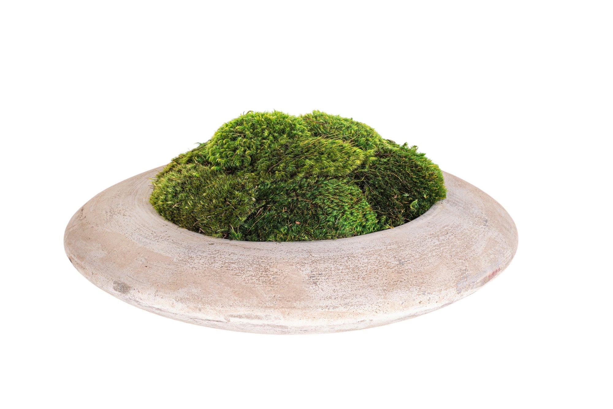 20" Flying Saucer with Mood Moss AR1179