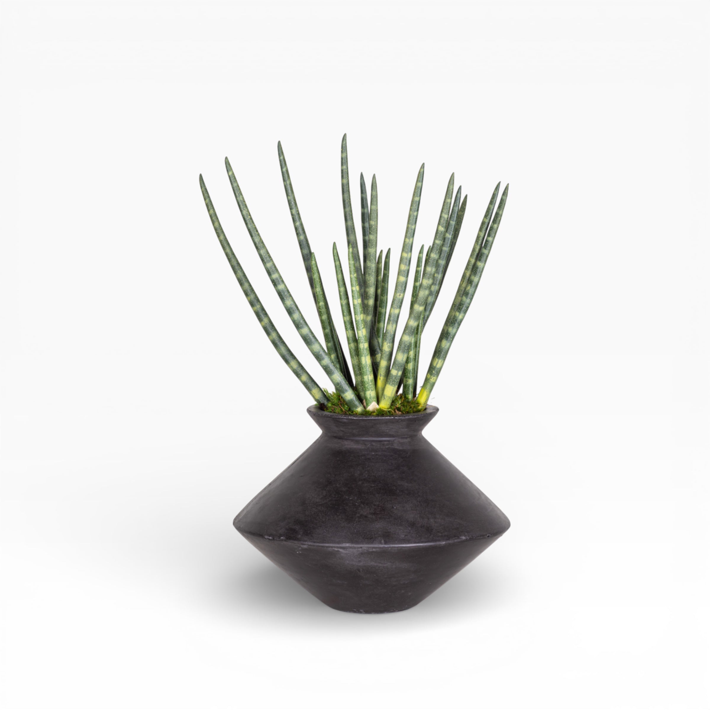 Stanley Vase with Snake Grass Arrangement AR1515